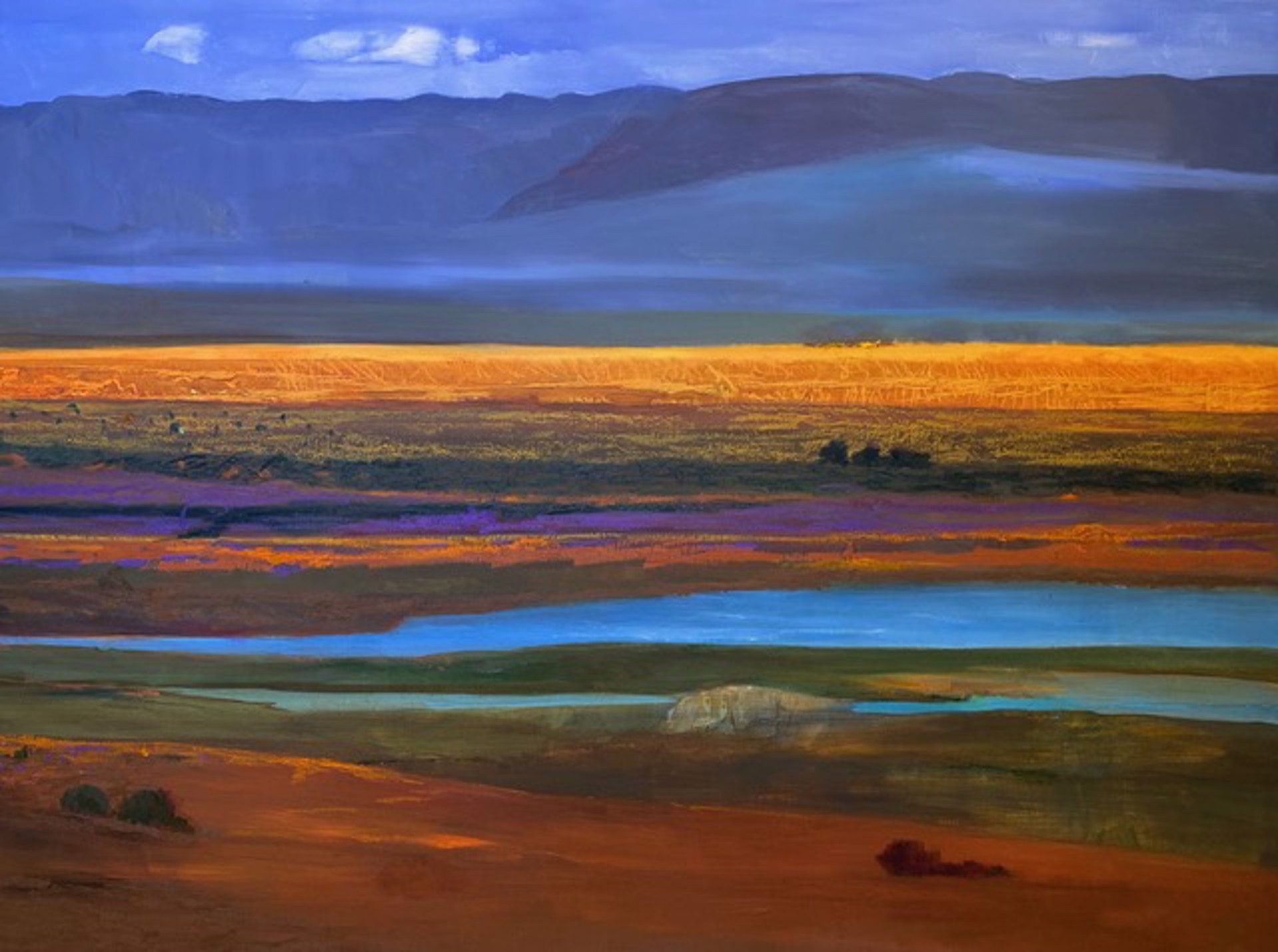 Golden Fields by Gina Rossi
