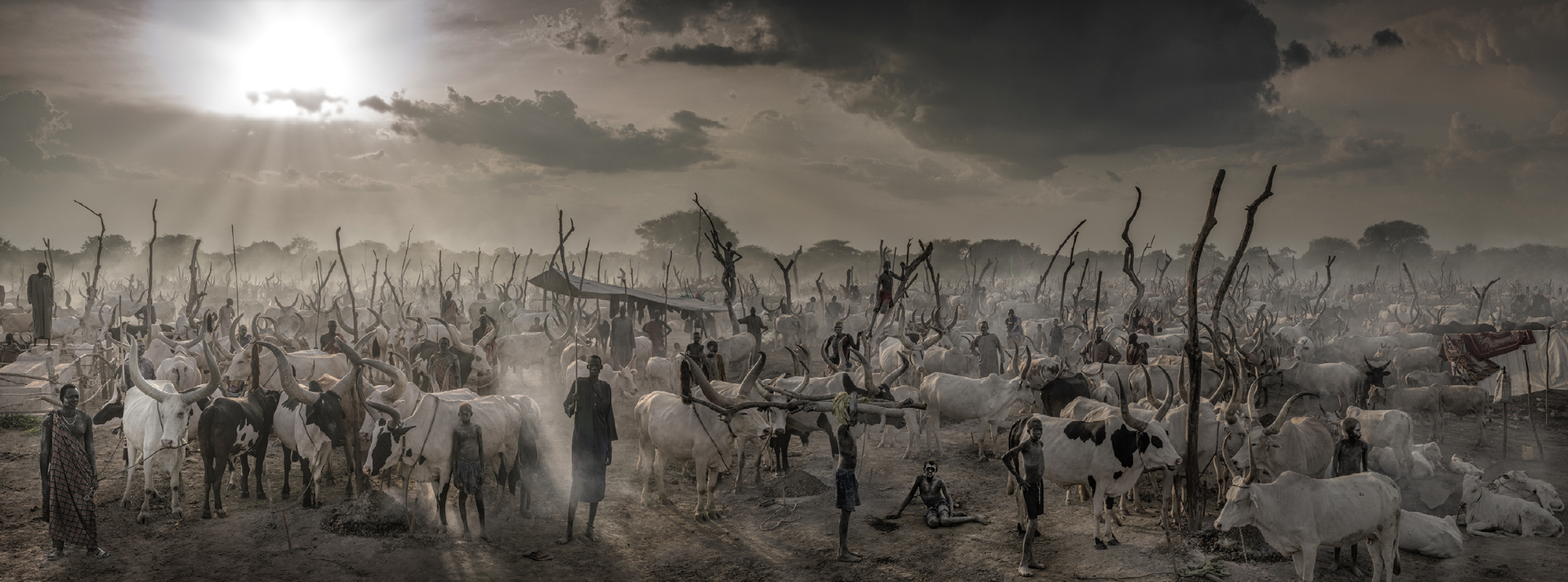 The New Testament (Color) by David Yarrow