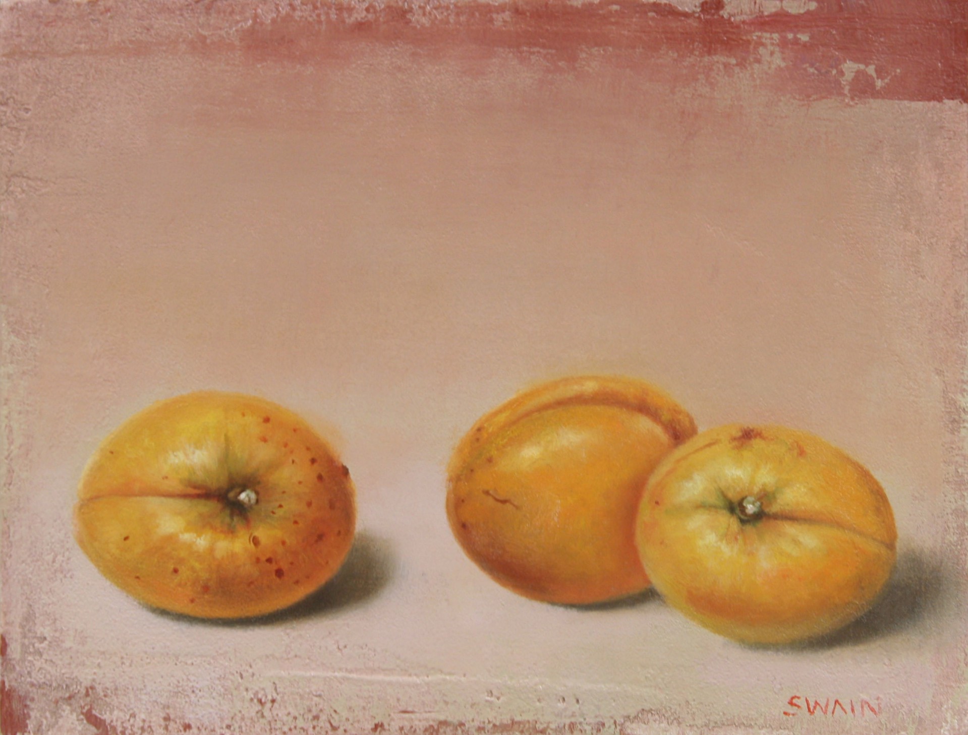 Apricots in a Line by Tyler Swain