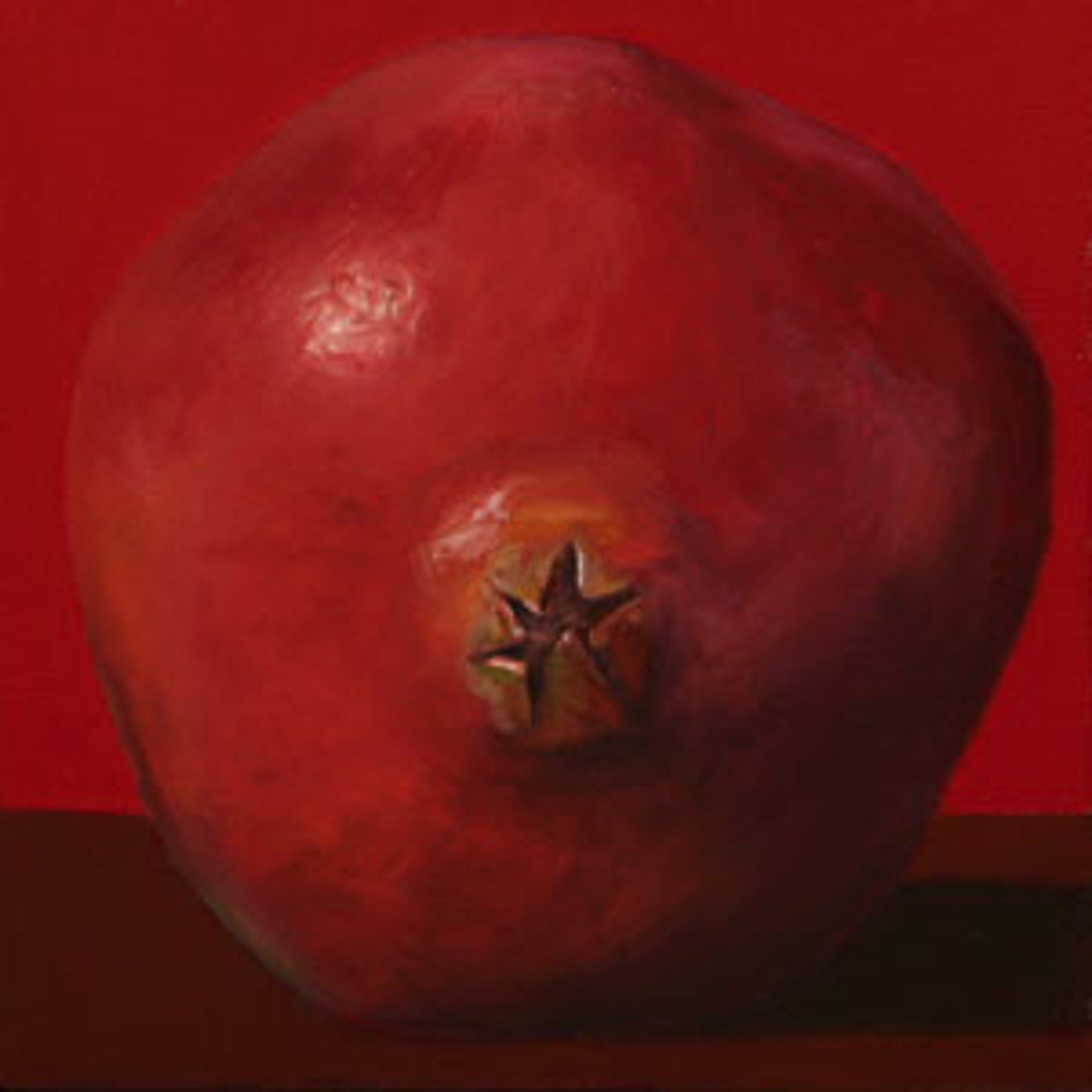 Pomegranate Side on Red by Bill Chisholm