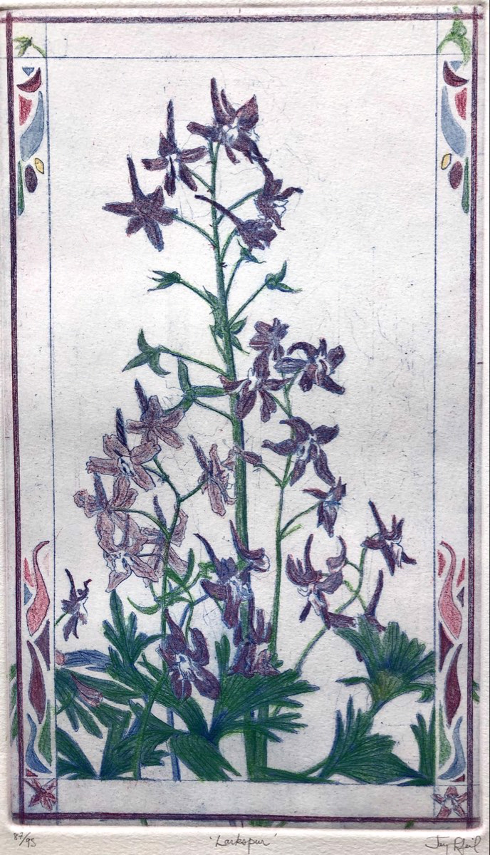 Larkspur by Jay Pfeil