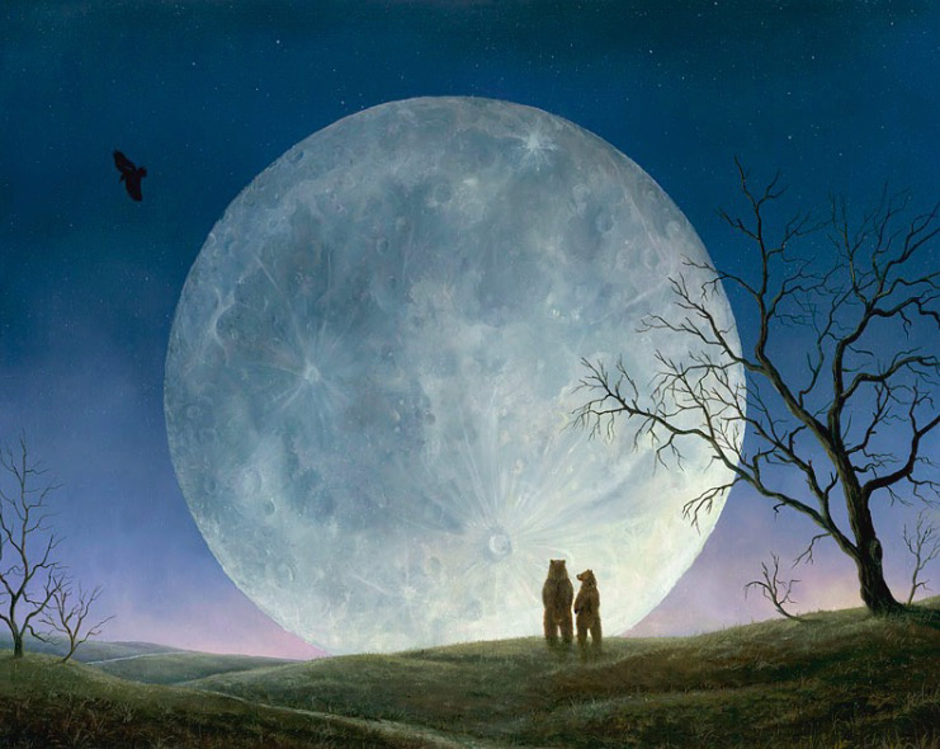 Ursa Minor - SOLD OUT ON ALL EDITIONS by Robert Bissell