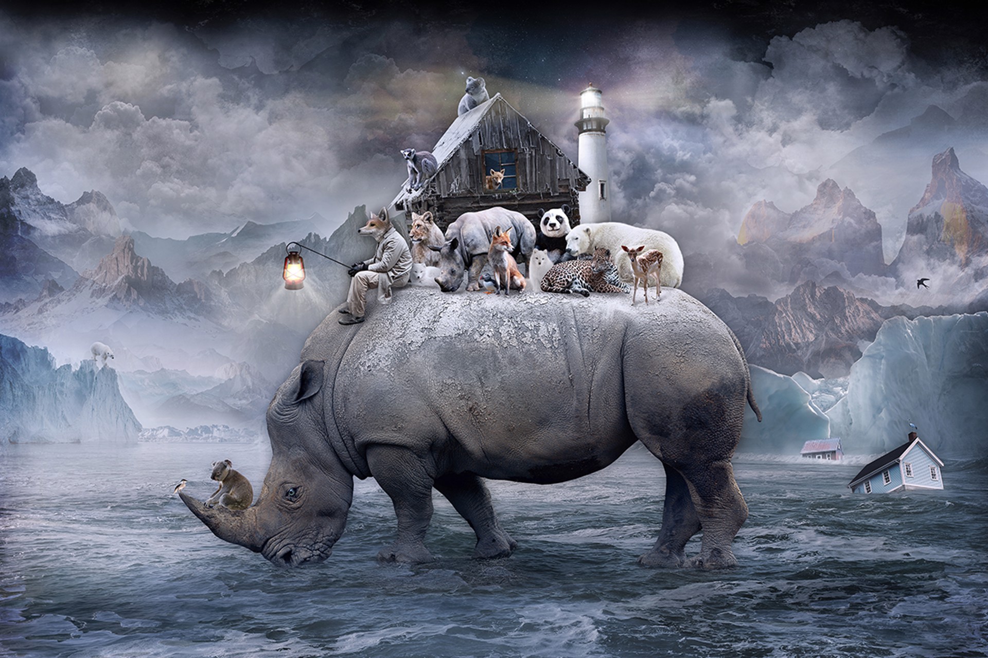 Shelter - Spirit of the Rhino by Marcin Owczarek