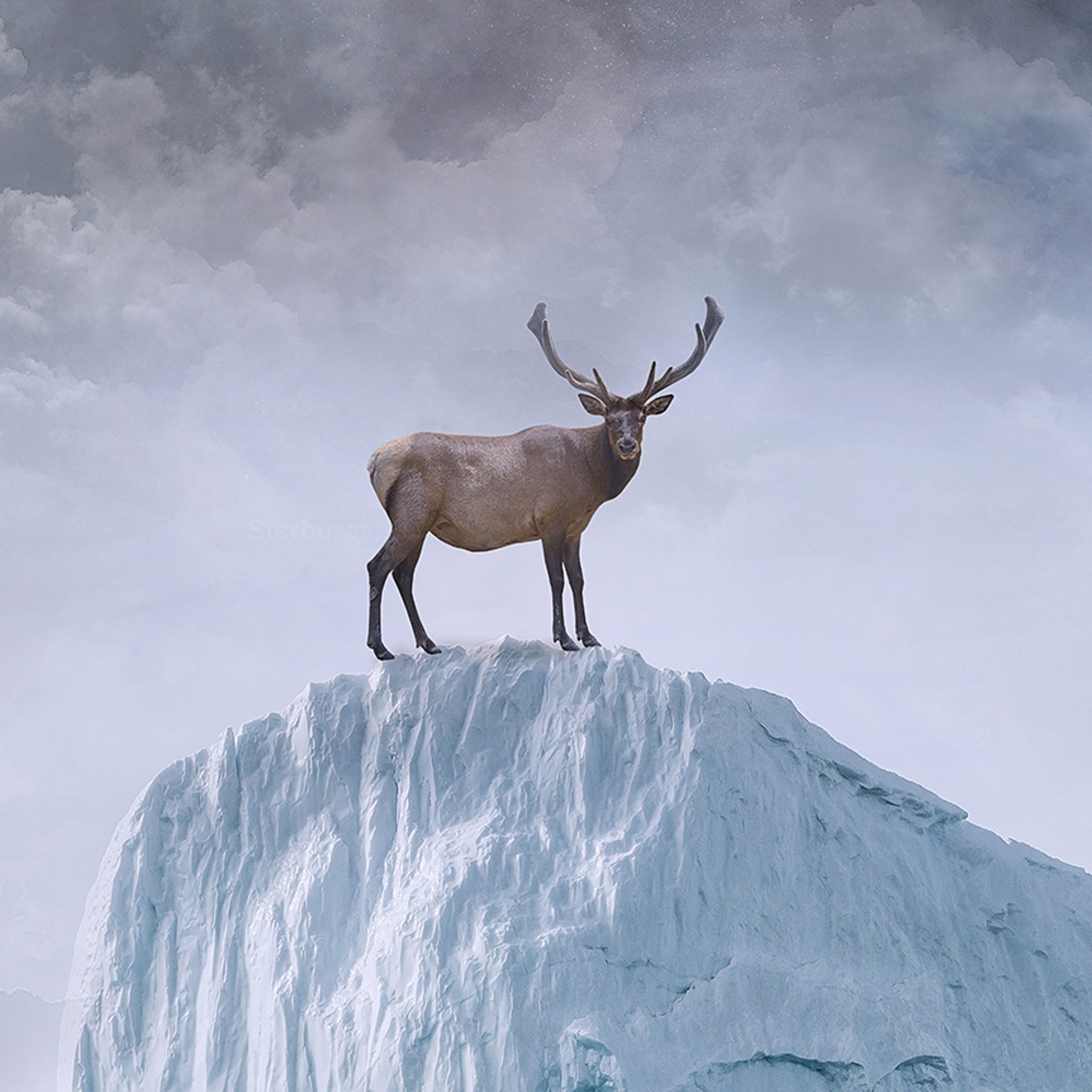 Arctic Diaries by Marcin Owczarek