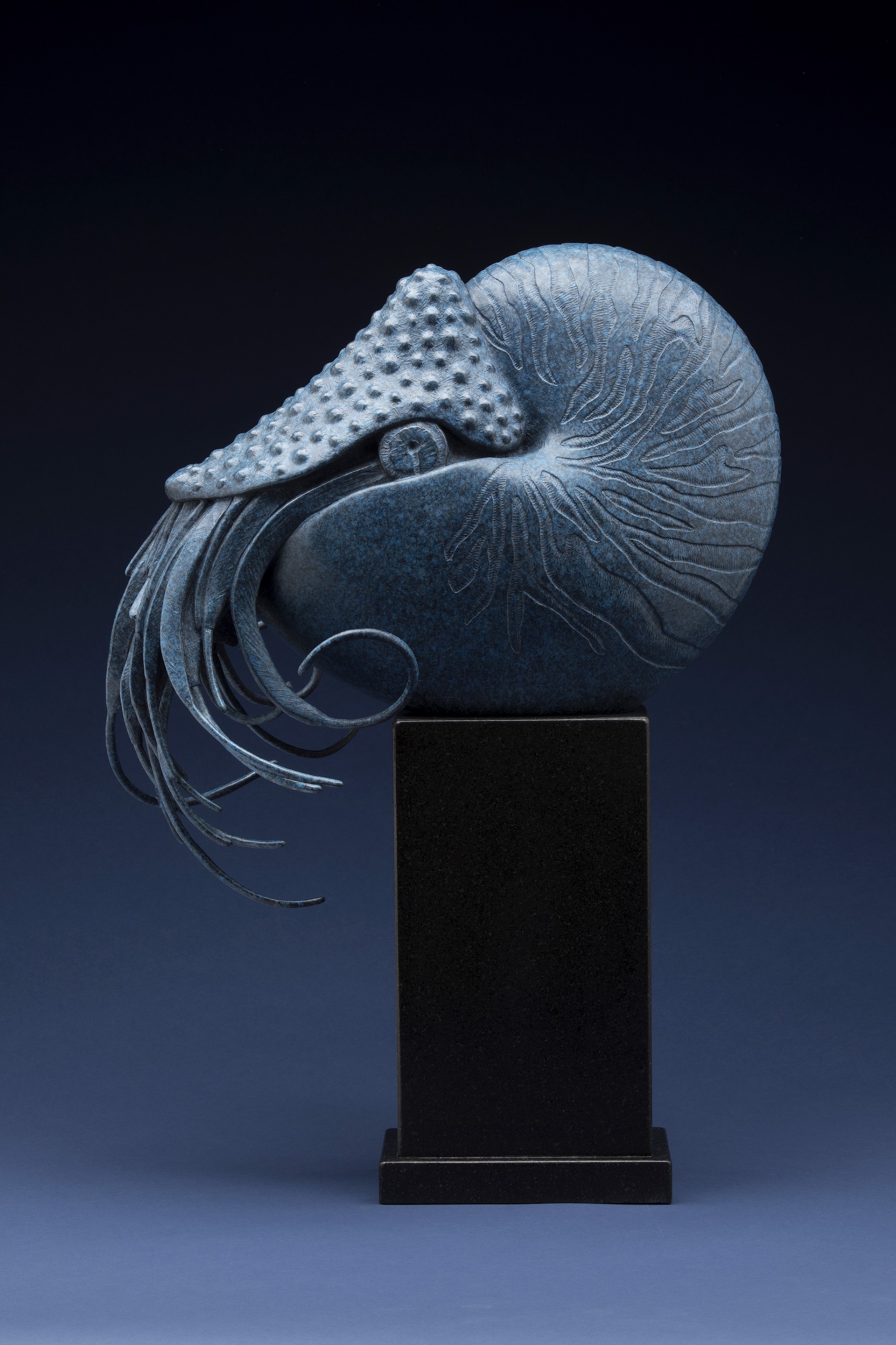 Nautilus by Tony Hochstetler