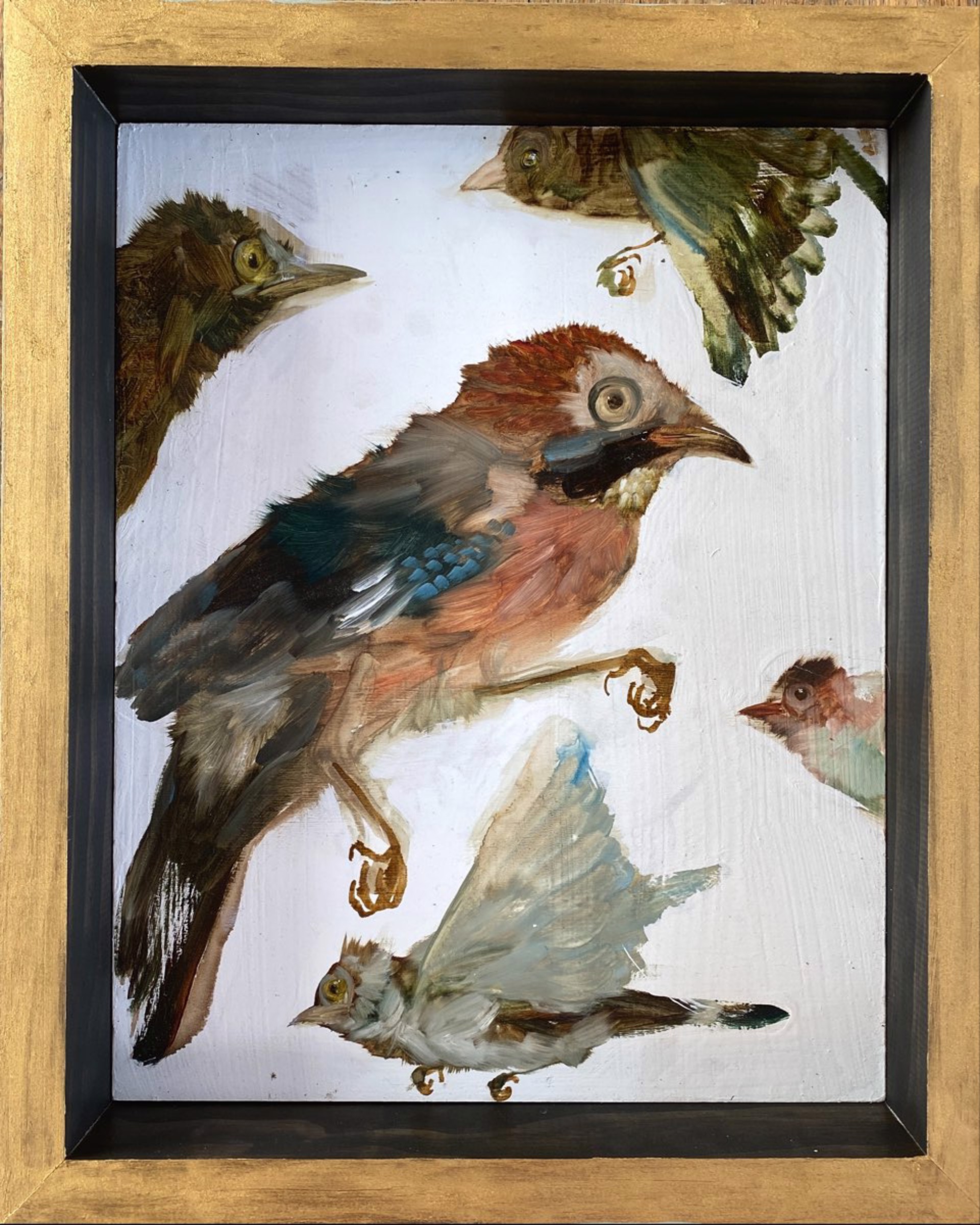 Bird Series by Diane Kilgore Condon