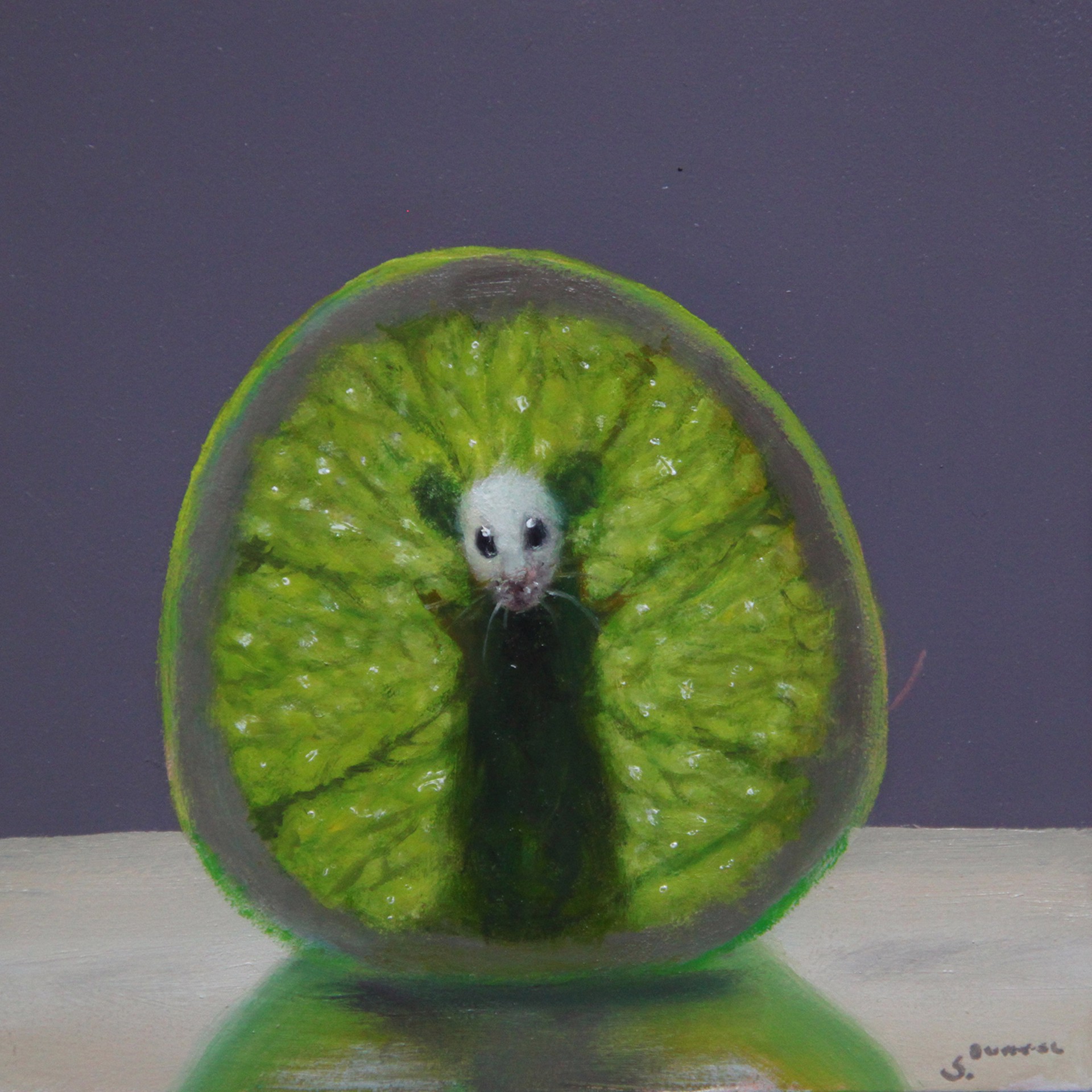 Lime Xray 20 by Stuart Dunkel