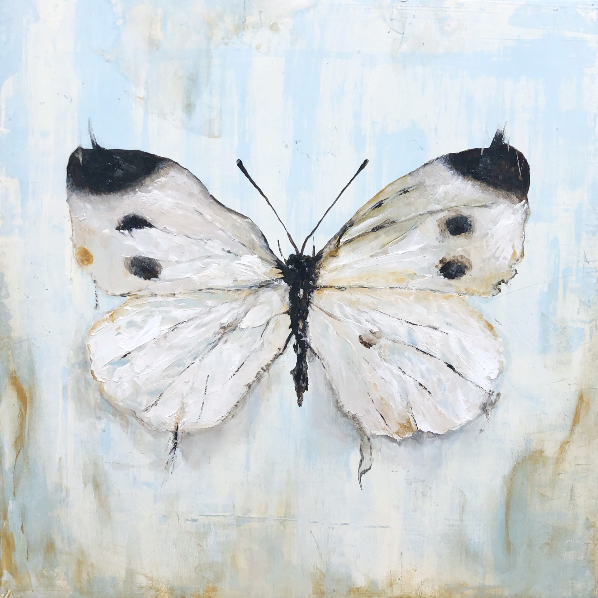 Original Oil Painting Of a White And Black Butterfly On A Contemporary Background, By Jenna Von Benedikt