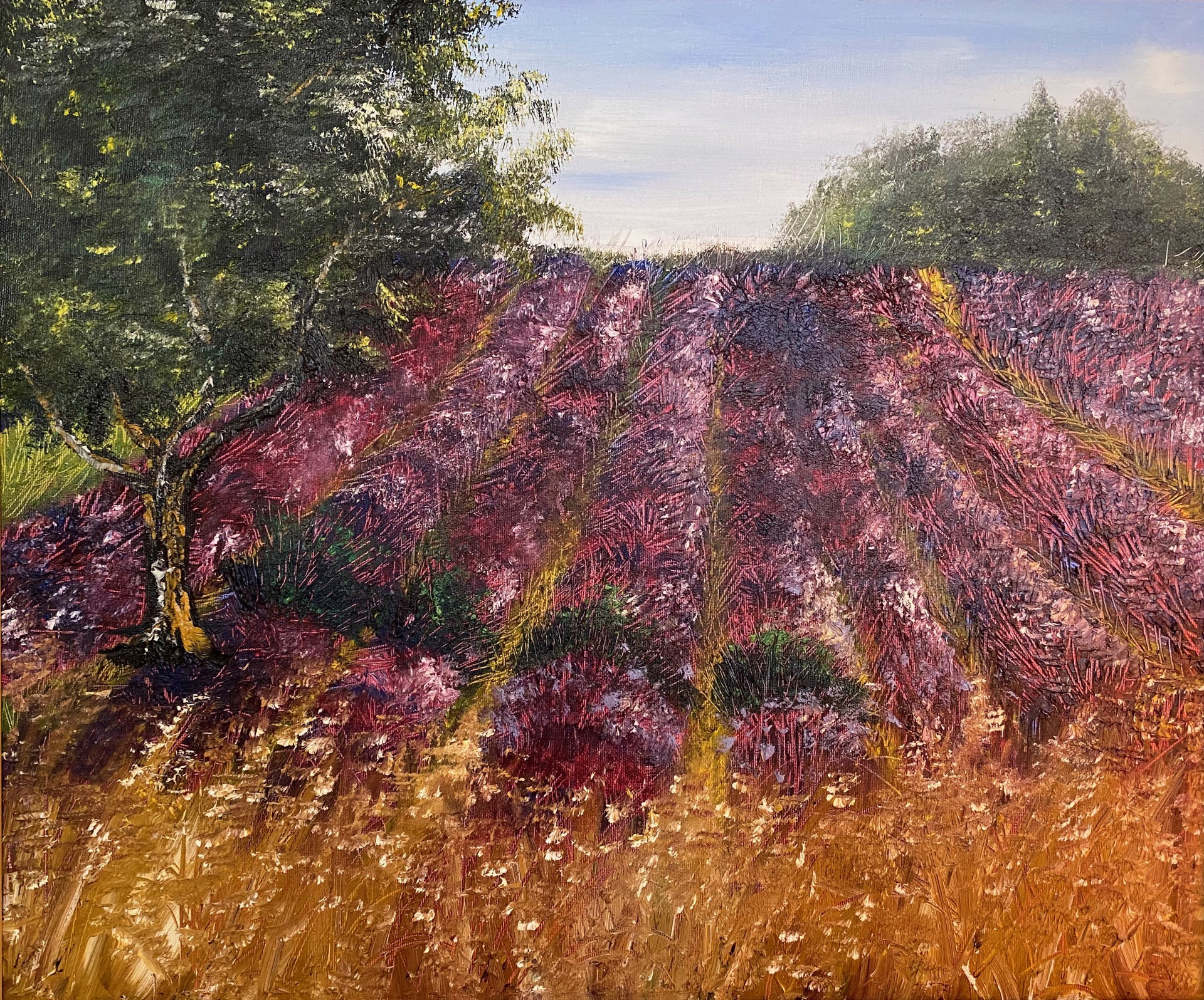 Lavender Garden, Provence by Anne-Lise Merchant