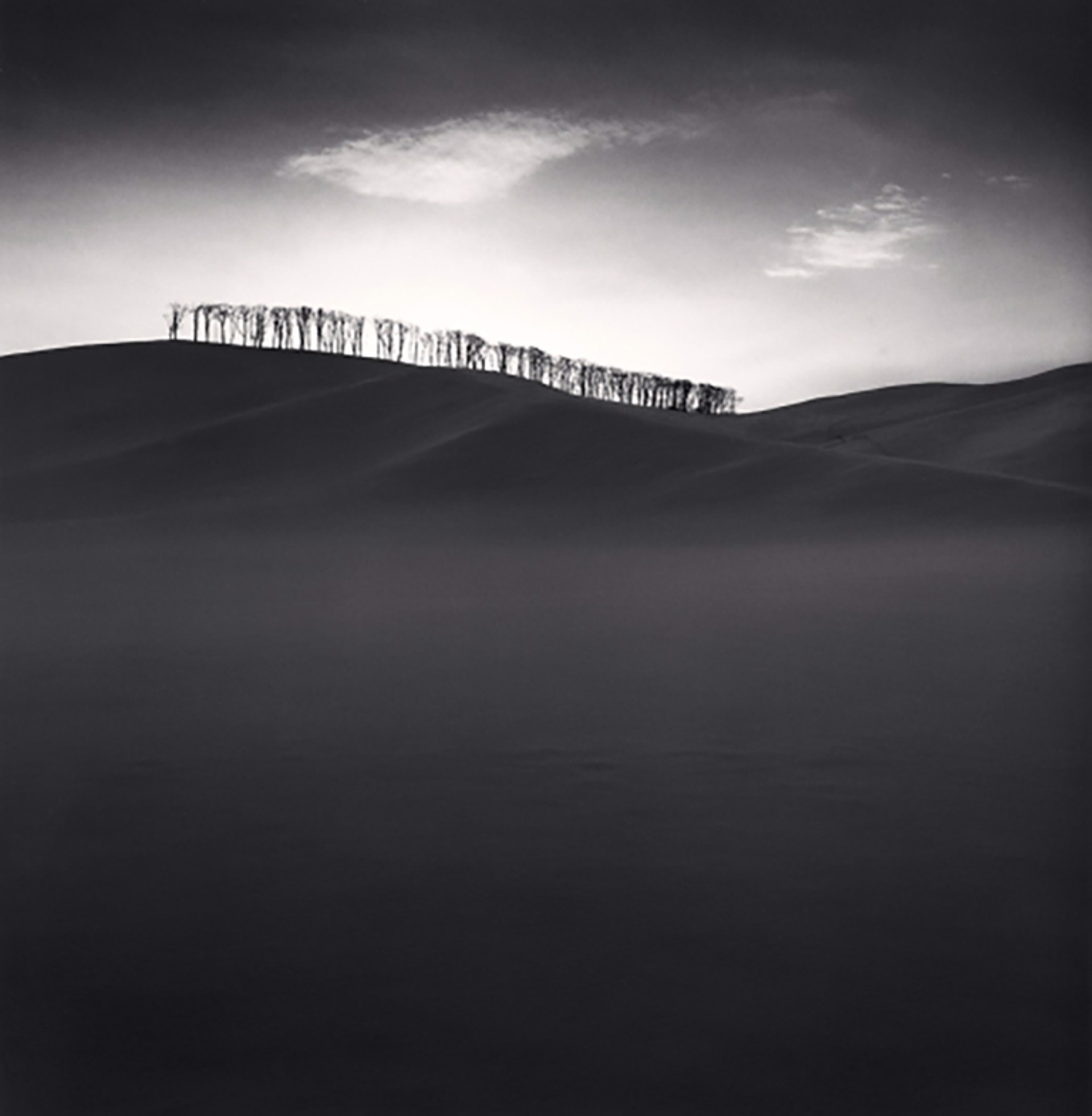 Hilltop Trees, Study 2, Teshikaga, Hokkaido, Japan (edition of 45) by Michael Kenna