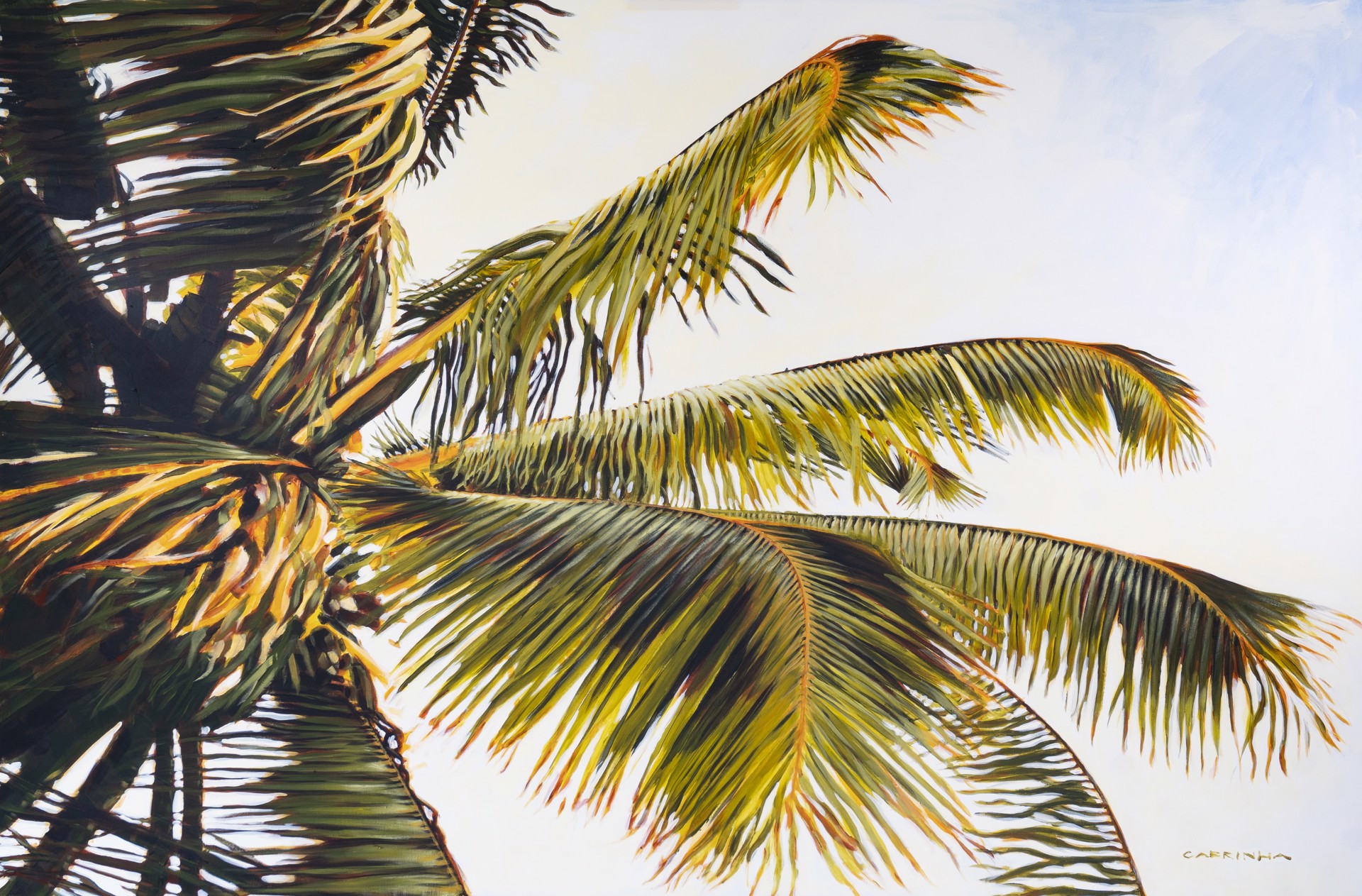 Haiku Palm by Pete Cabrinha