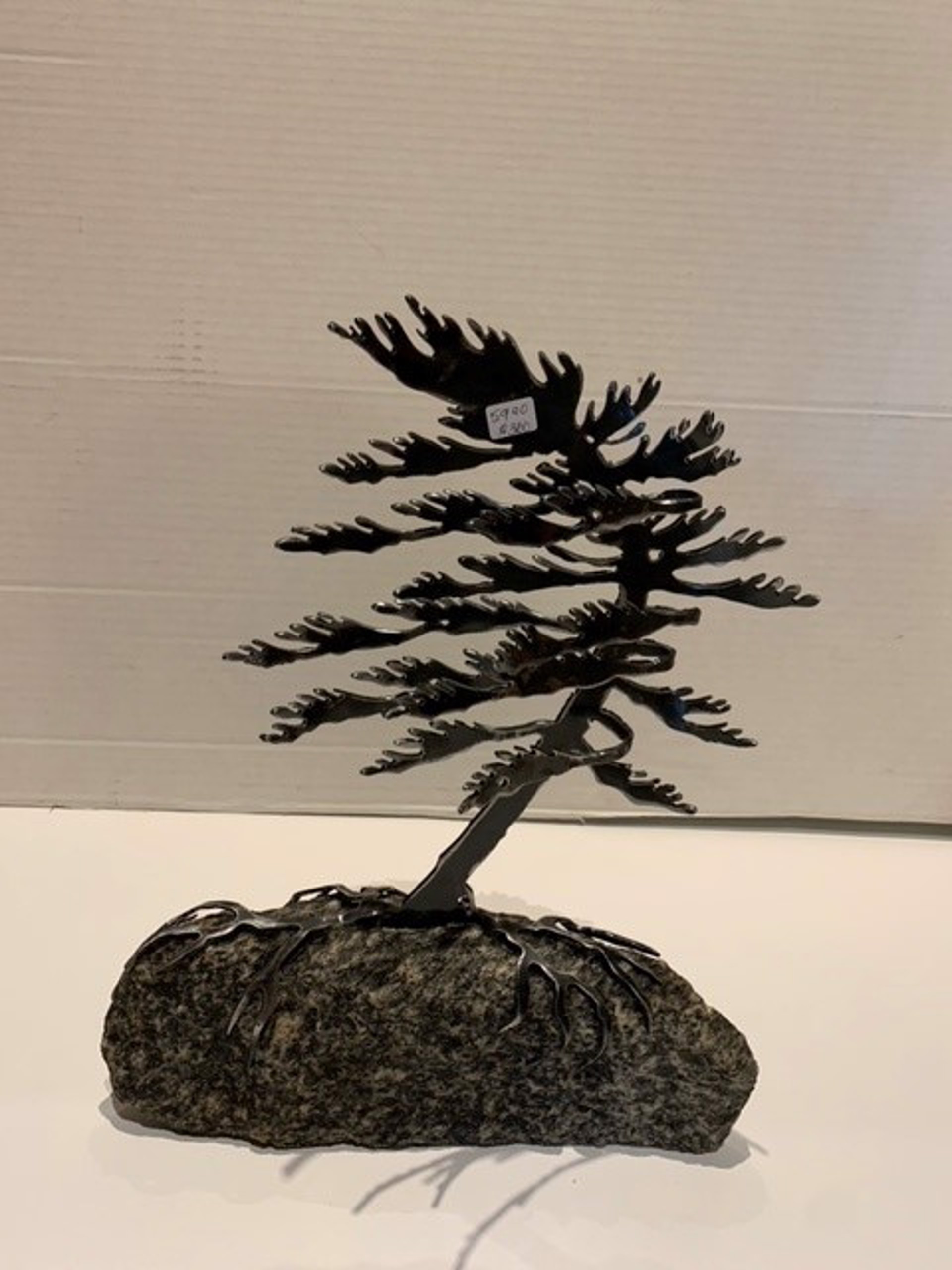 Windswept Pine 5920 by Cathy Mark