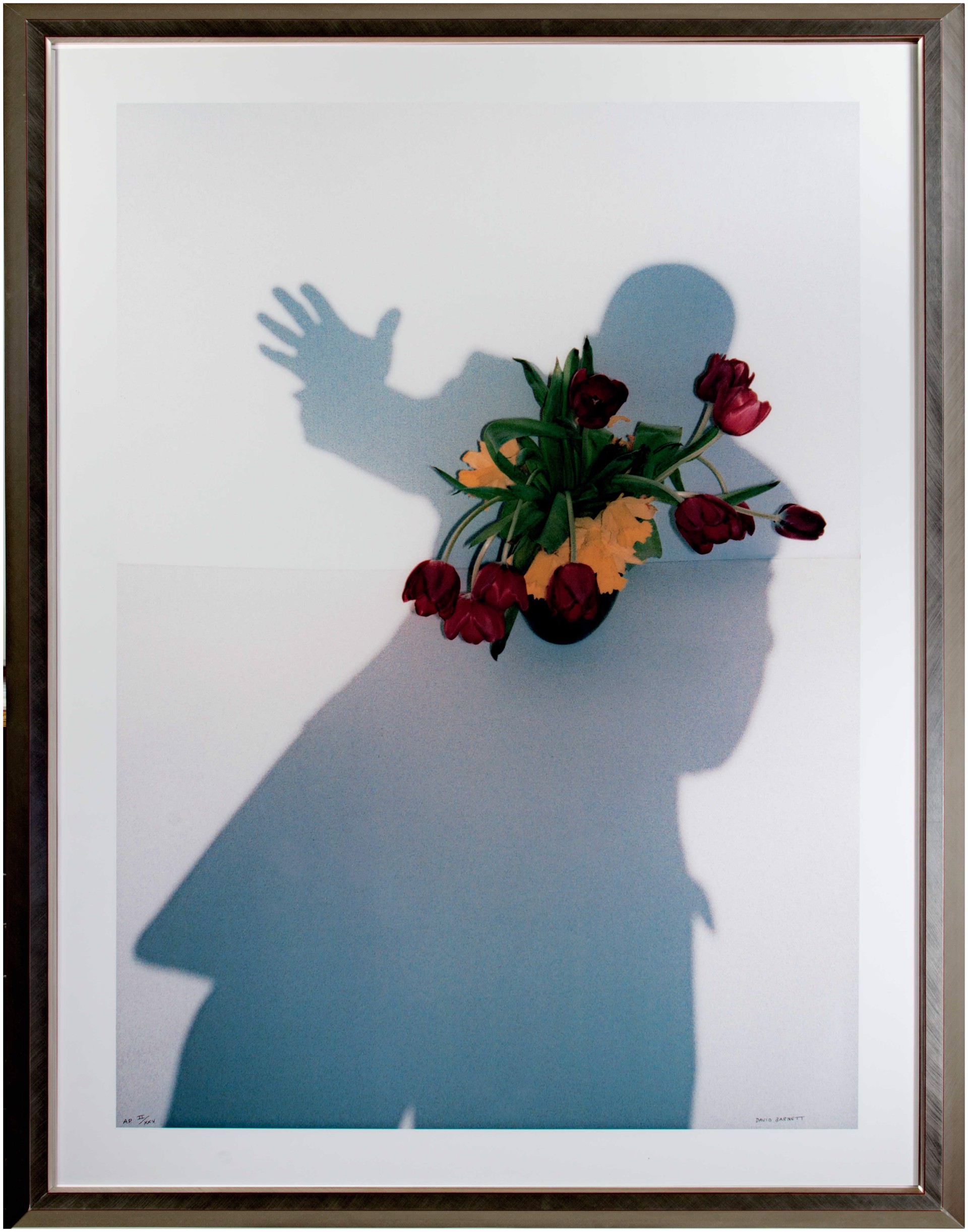 Self Portrait Shadow Series: Take My Hand, I'm a Stranger in Paradise by David Barnett
