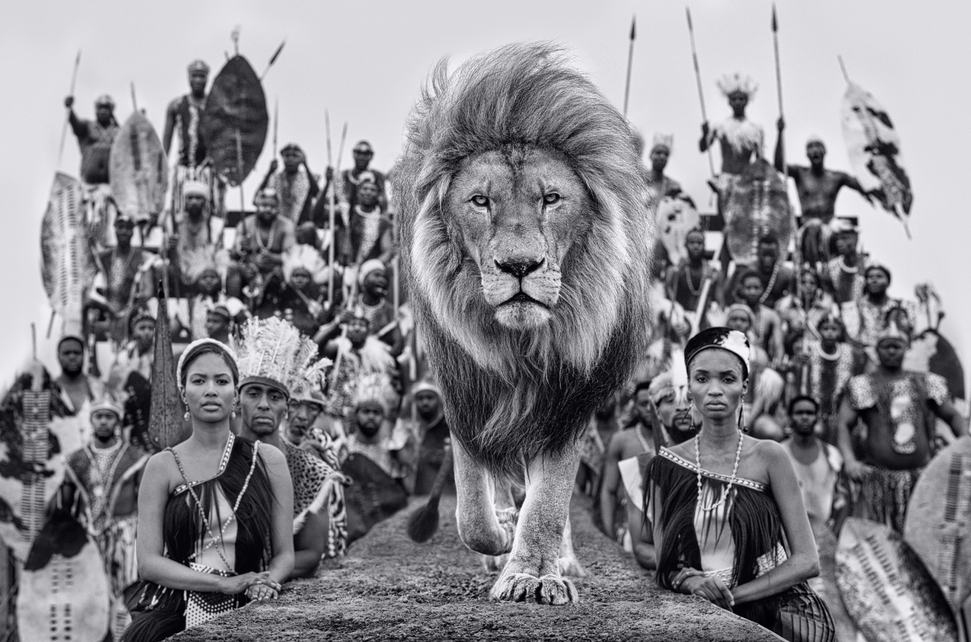 Catwalk by David Yarrow