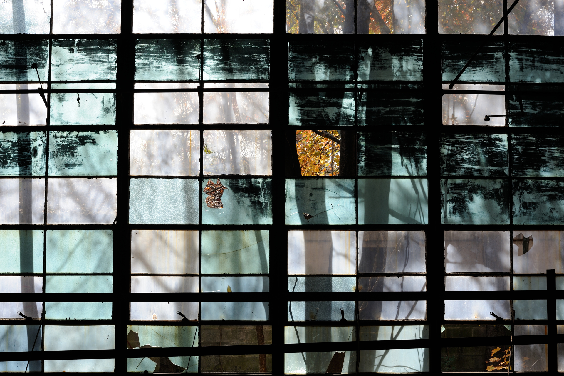 Rear Window by Andrew Feiler