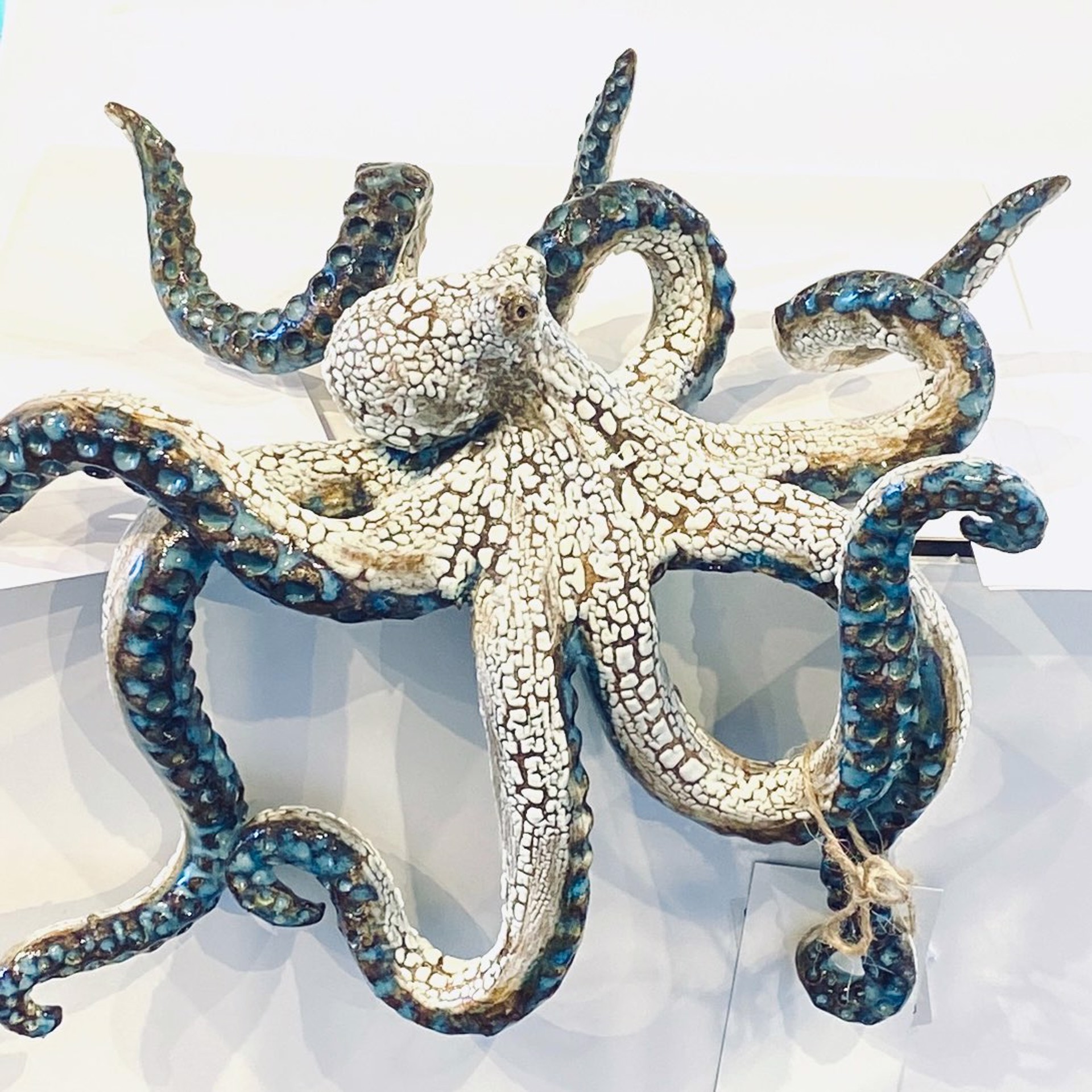 Shelf Octopus, Ocean Blue SG23-58 by Shayne Greco