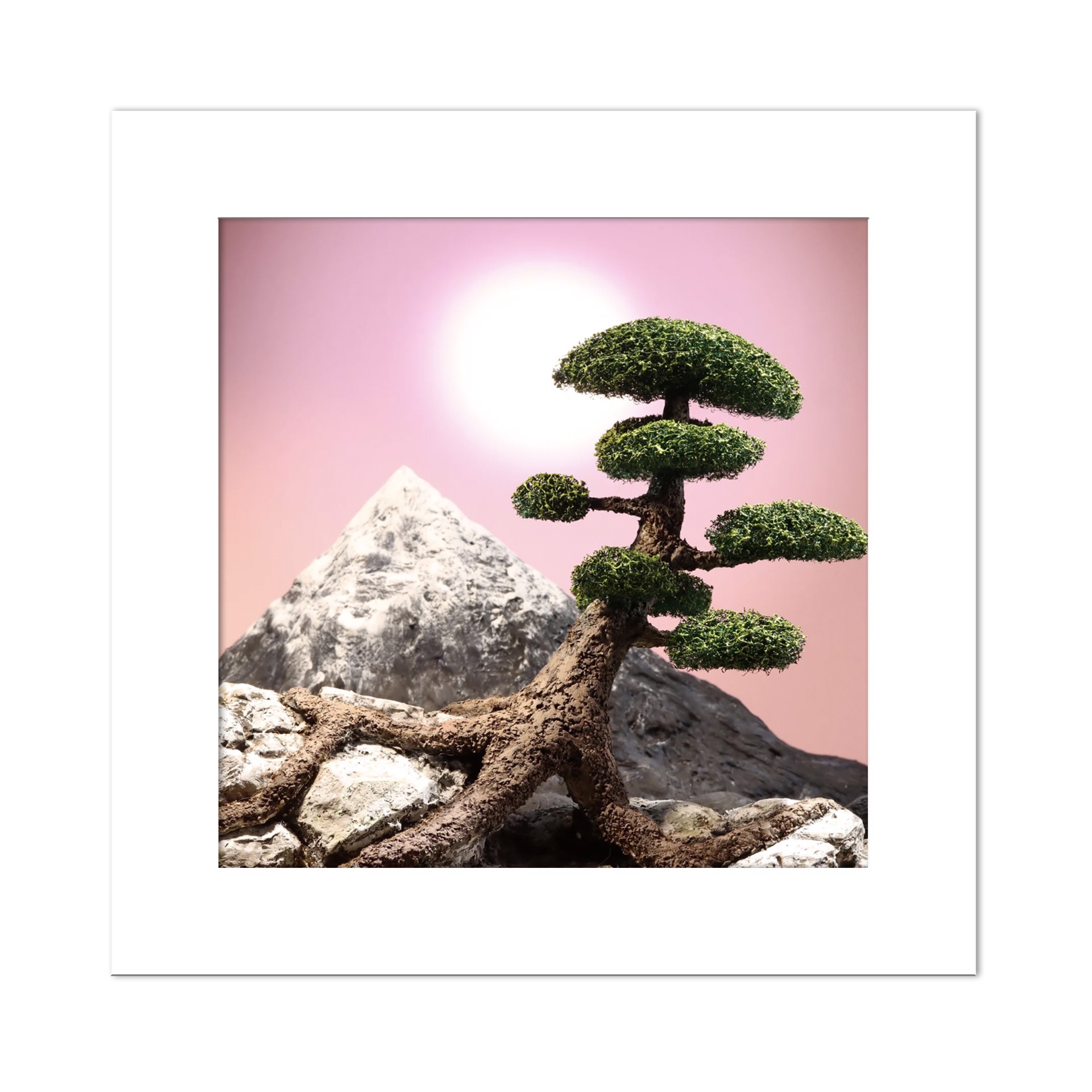 Bonsai Tree by Stephen Dorsett