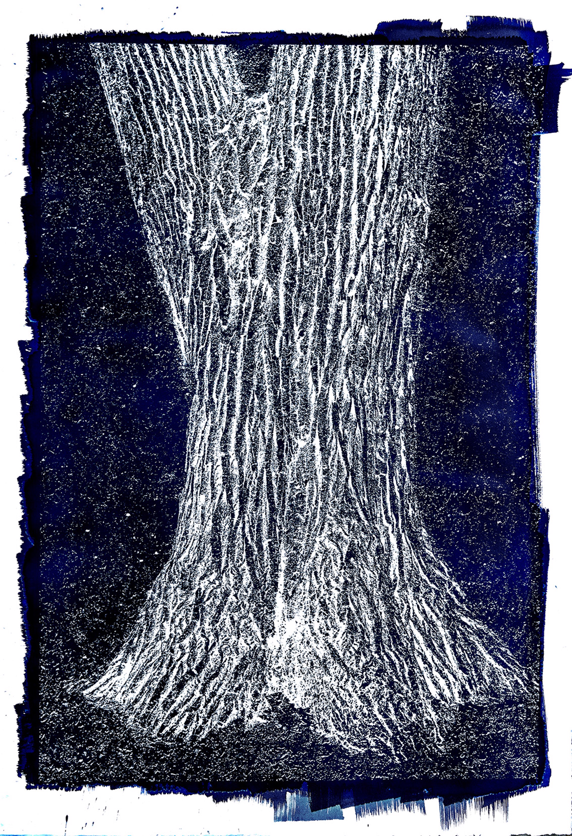 Cyanotype #34 by Michael Eastman
