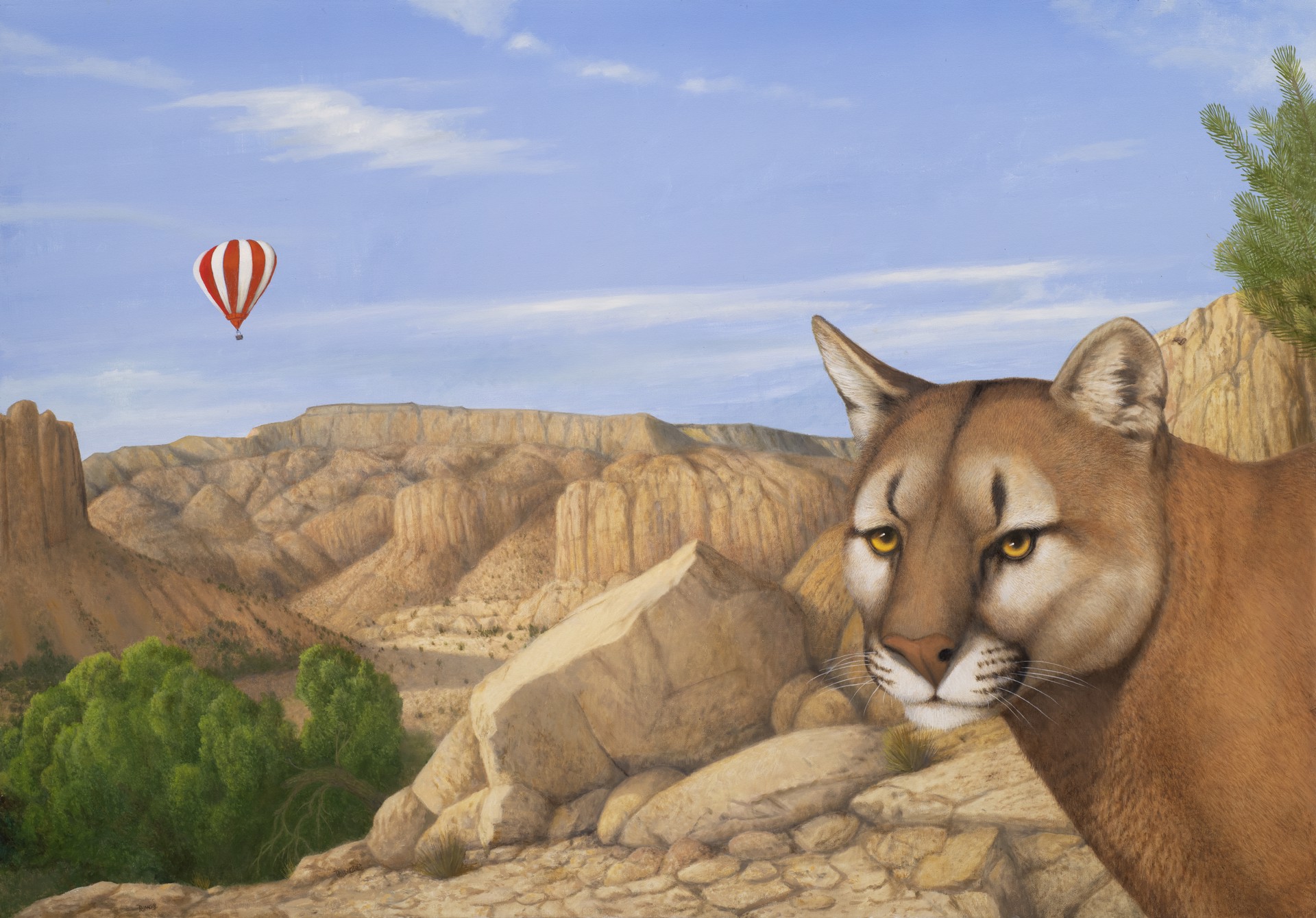 Big Cat Country by Tom Palmore