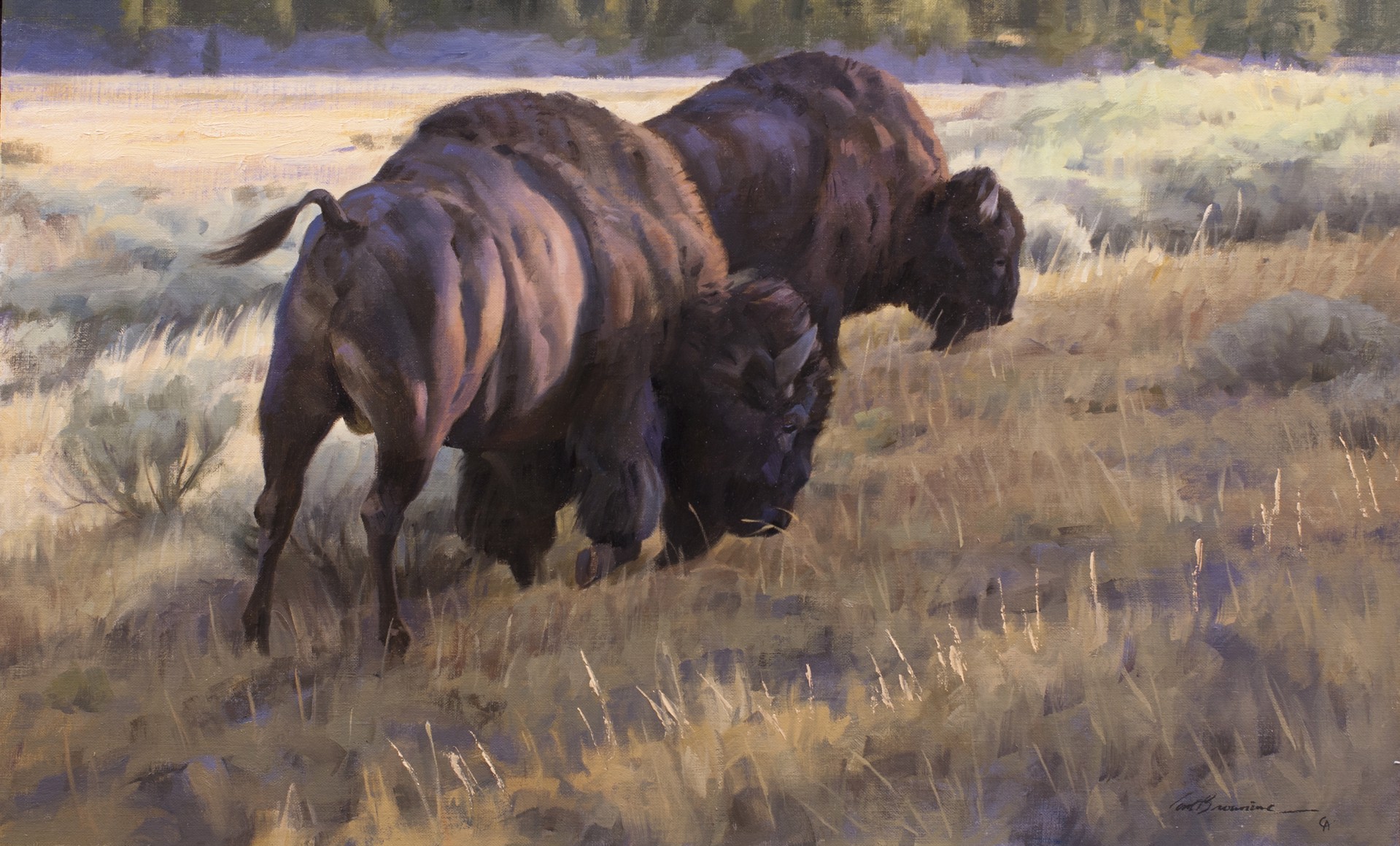 Near the Yellowstone by Tom Browning