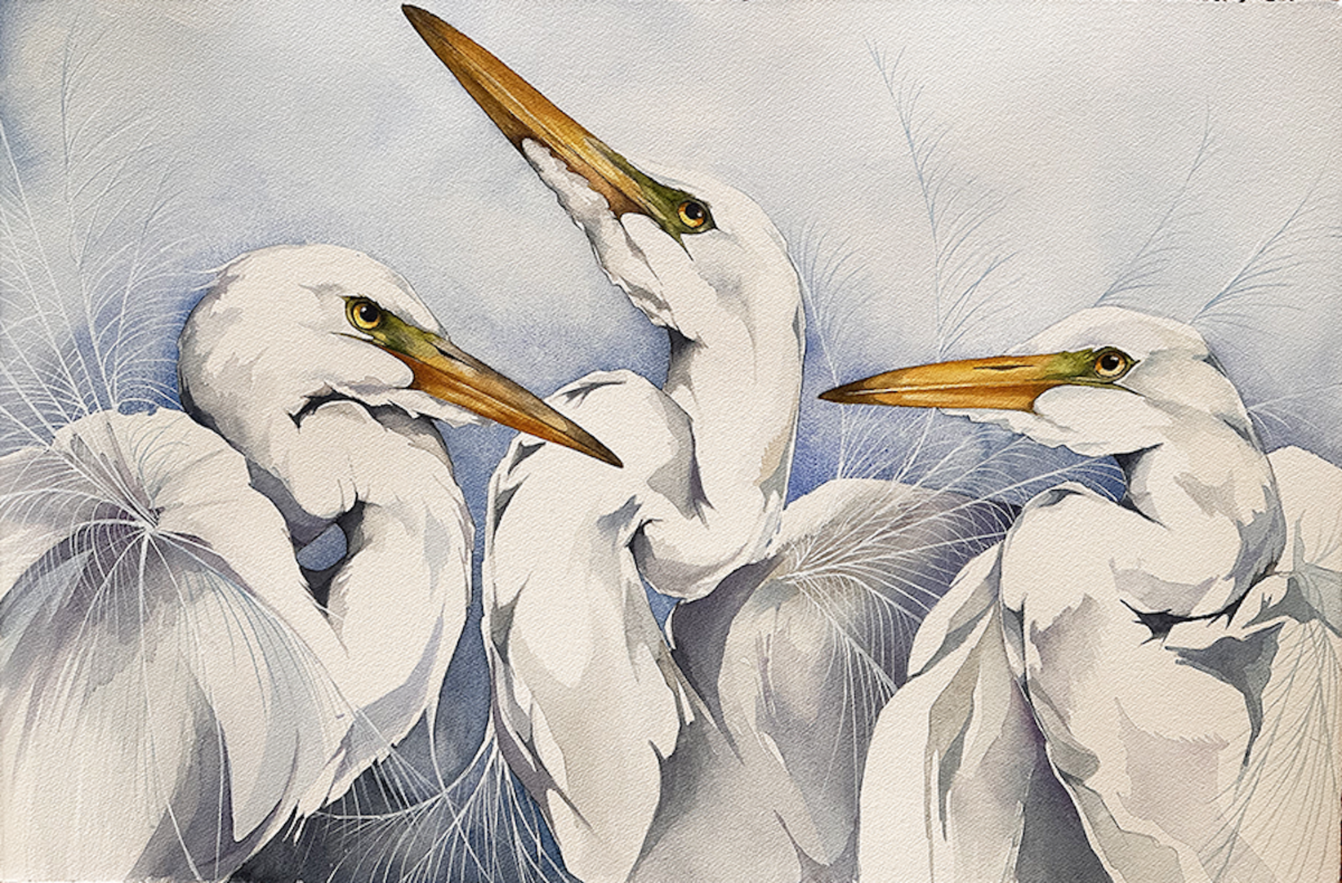 A Trio of Harmony (Great White Egrets) by Jennifer Anderson