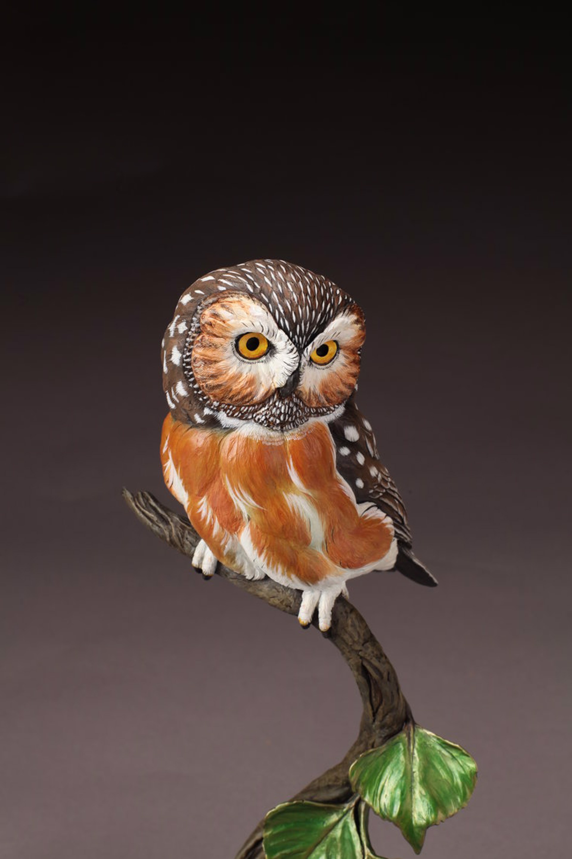Saw-whet Owl (Edition of 36) by Joan Zygmunt