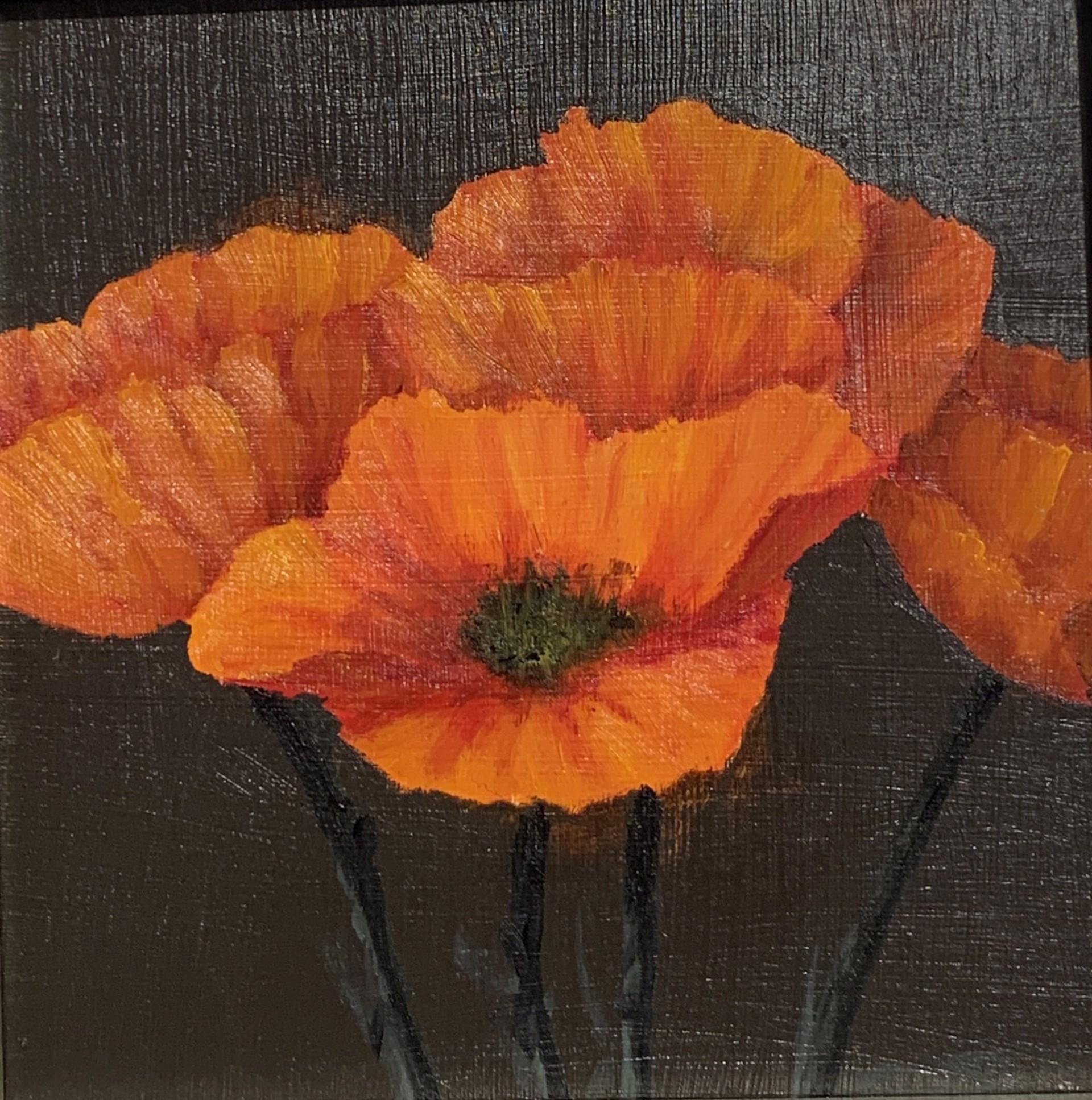 Poppies by Gregory Smith