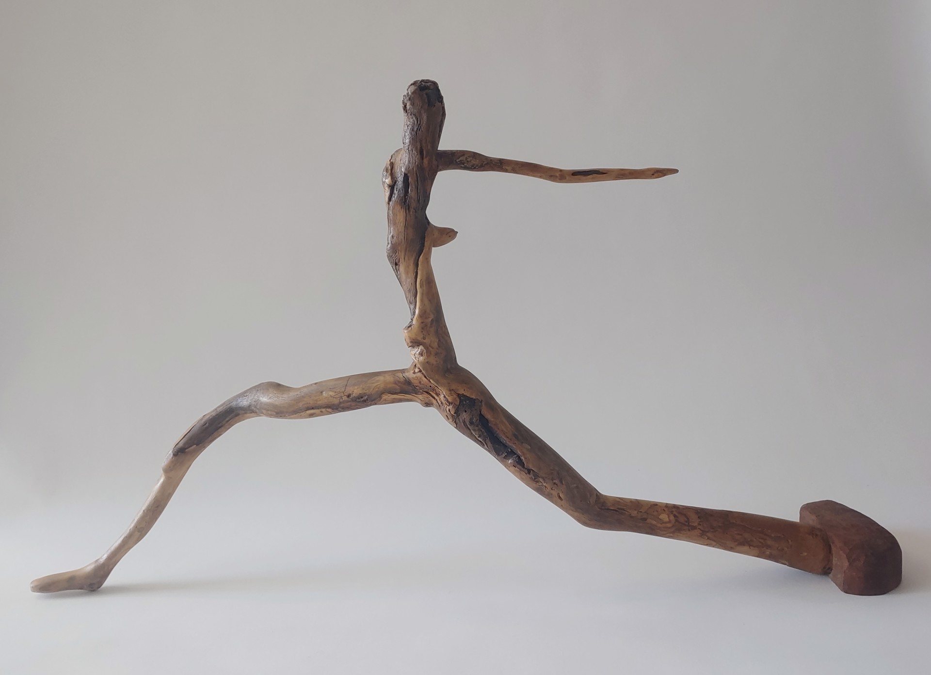 Strider - Wood Sculpture by David Amdur