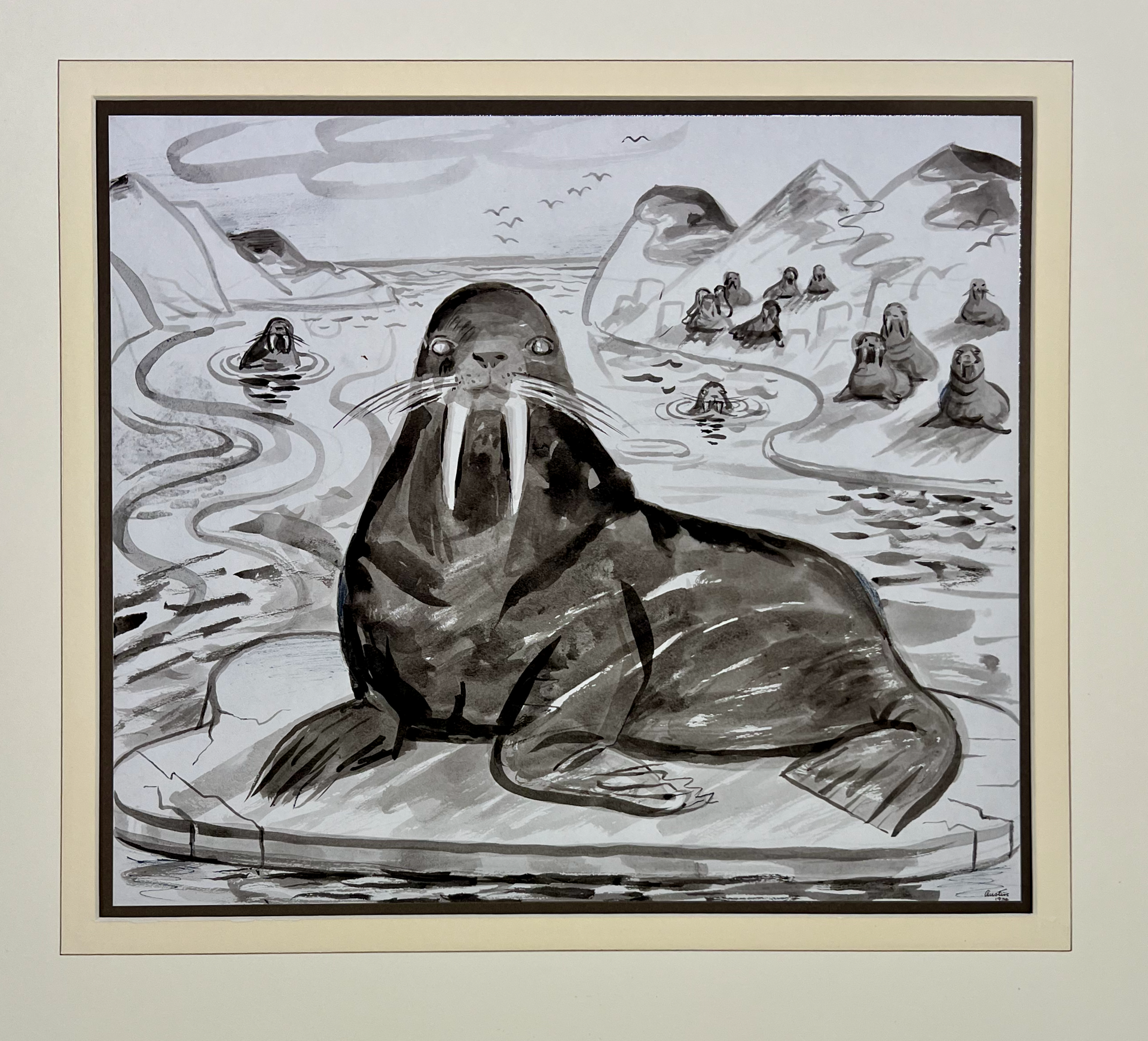 Walrus by Austin Taylor