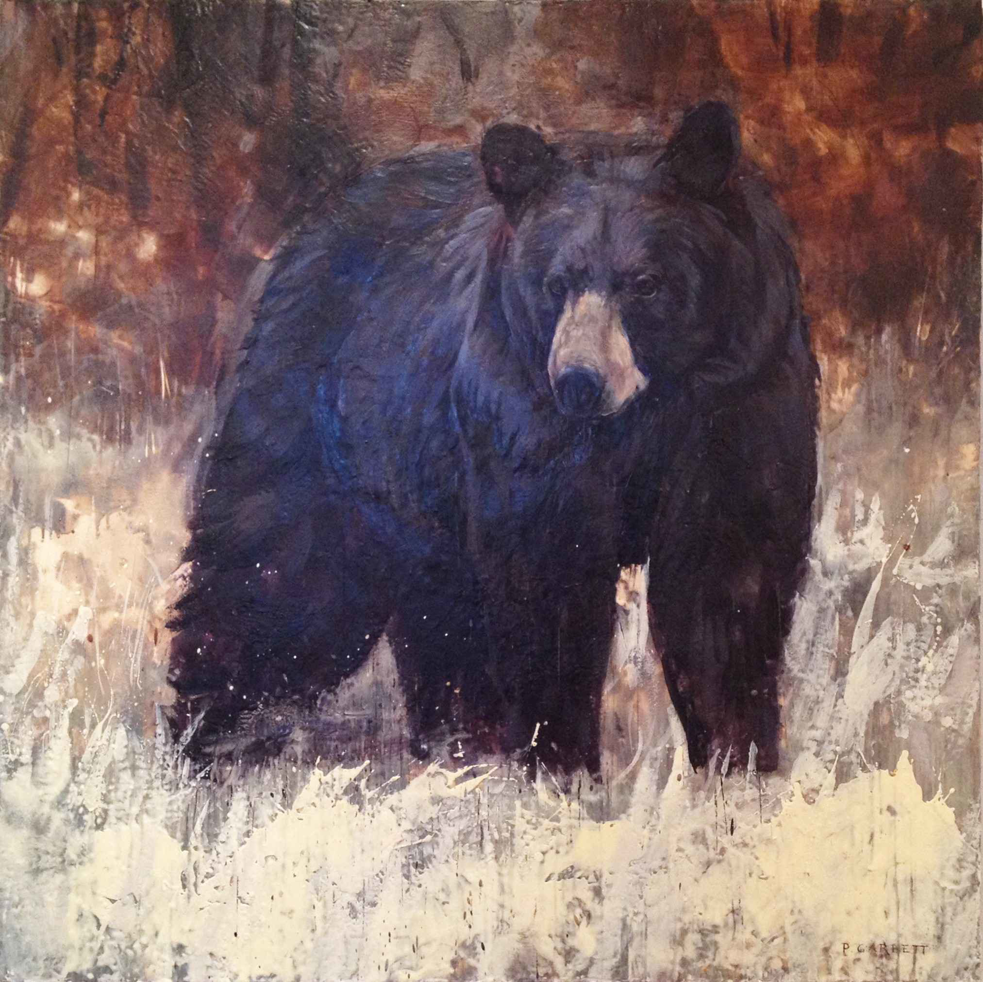 Black Bear #60-10 by Paul Garbett