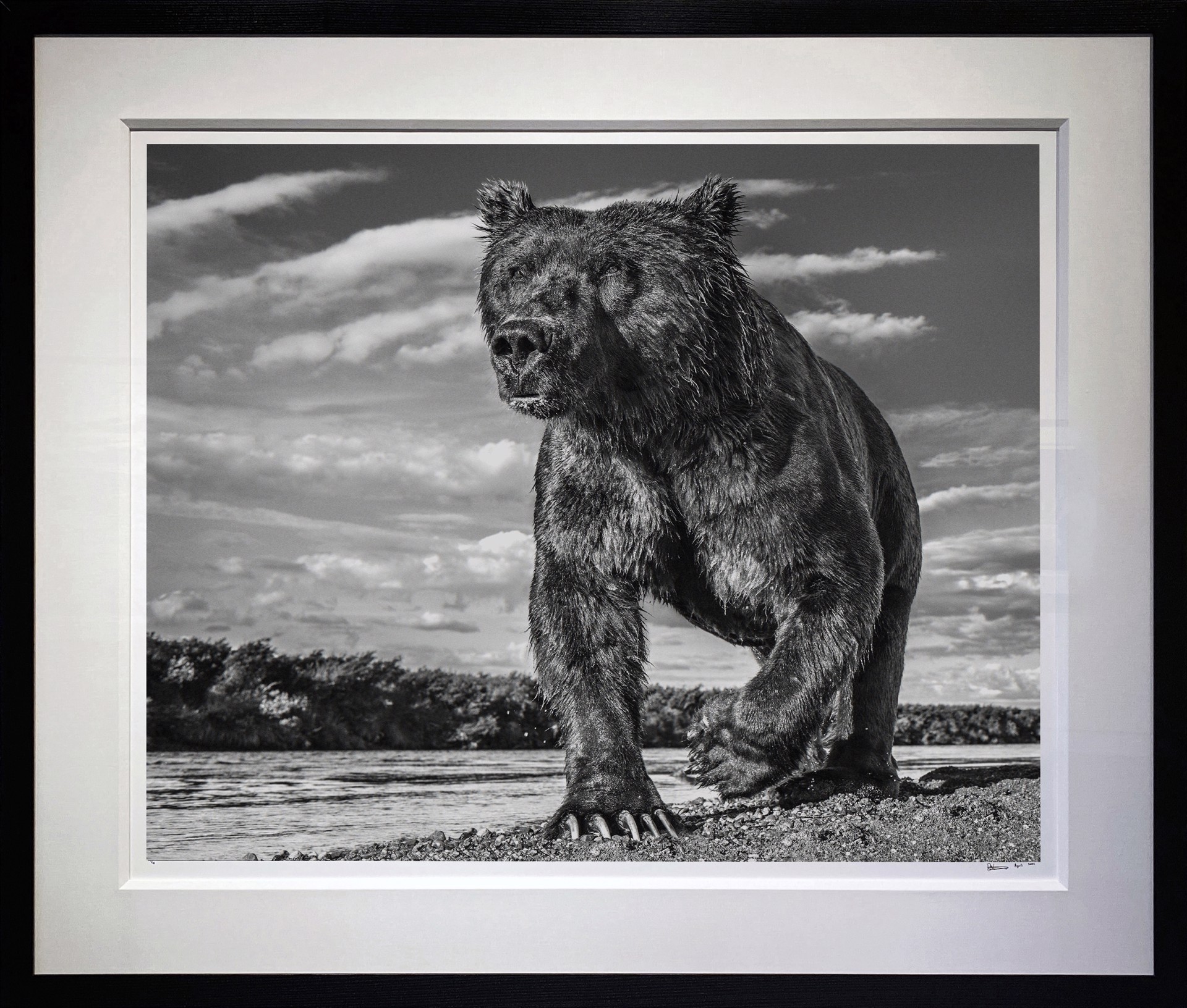 The Fisher King by David Yarrow