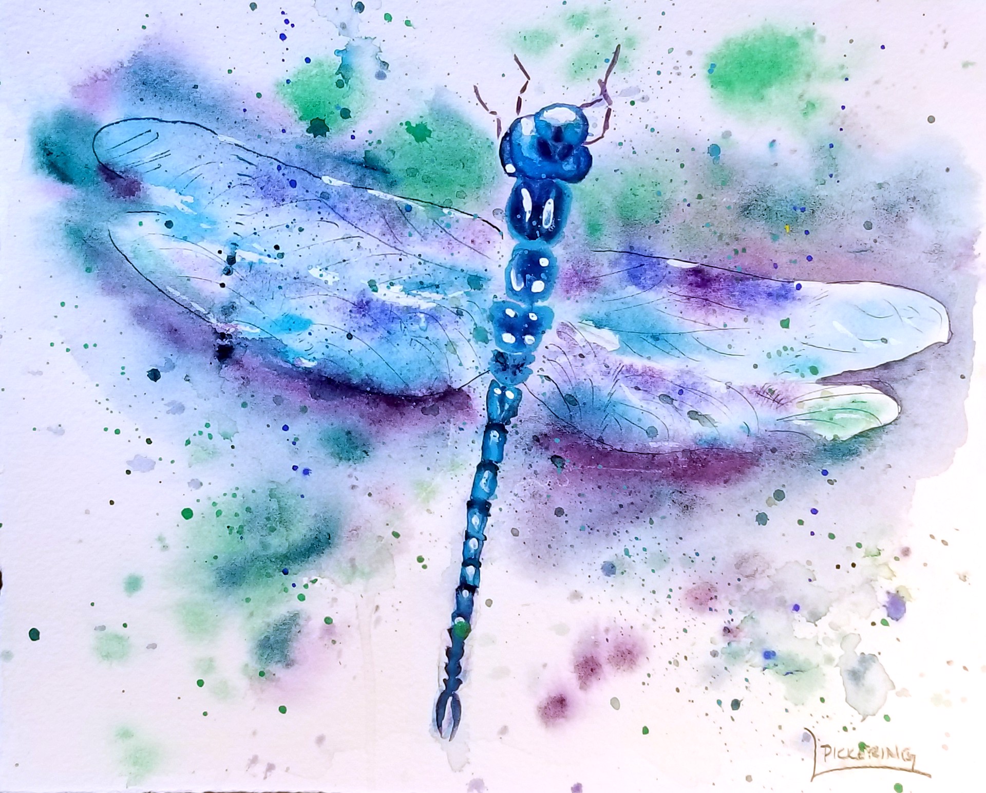 Dreamy Dragonfly by Laura Pickering
