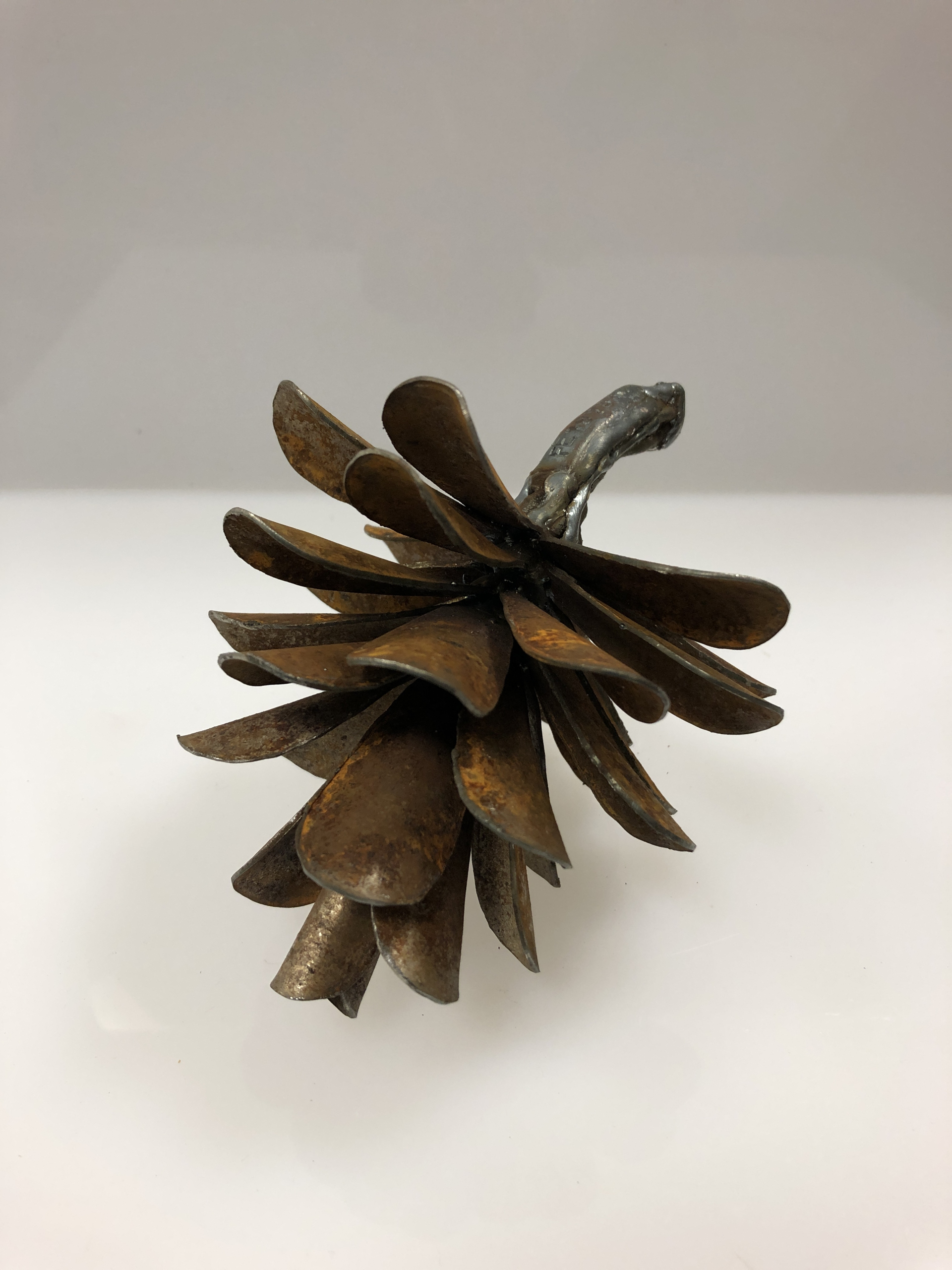 Pine Cone #19-733 by Floyd Elzinga