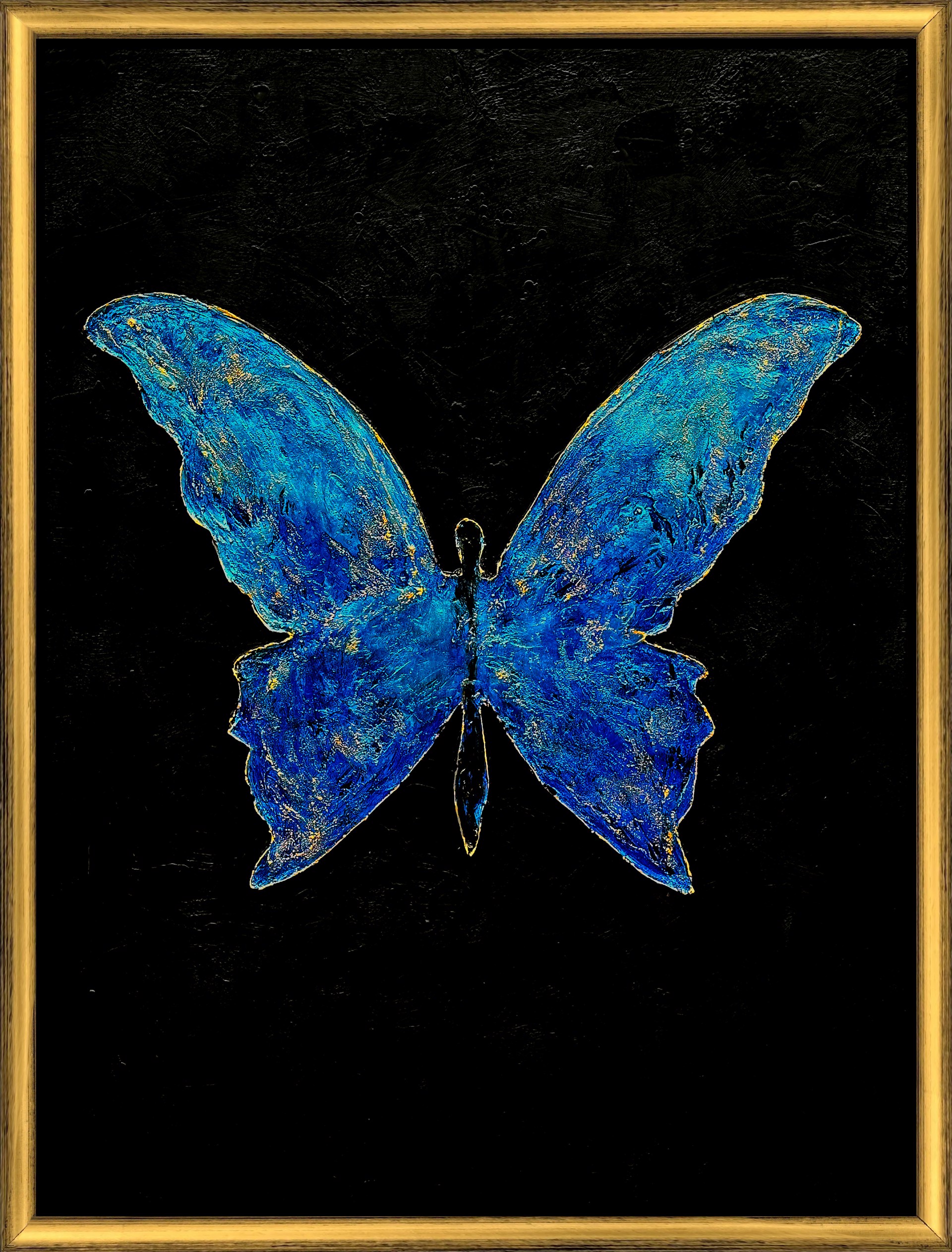 Morpho I by Meredith Pardue