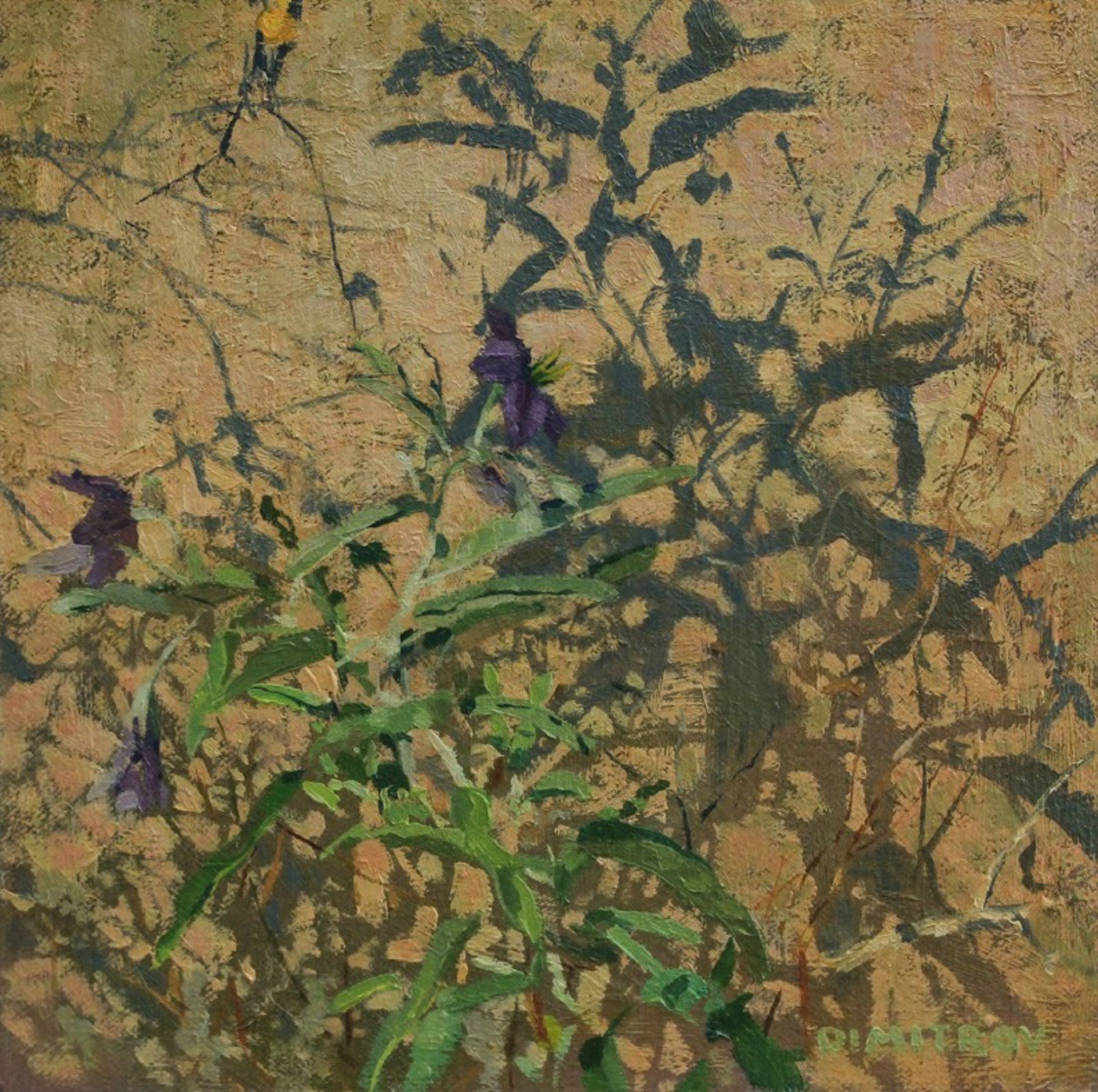 Purple Flowers by Martin Dimitrov
