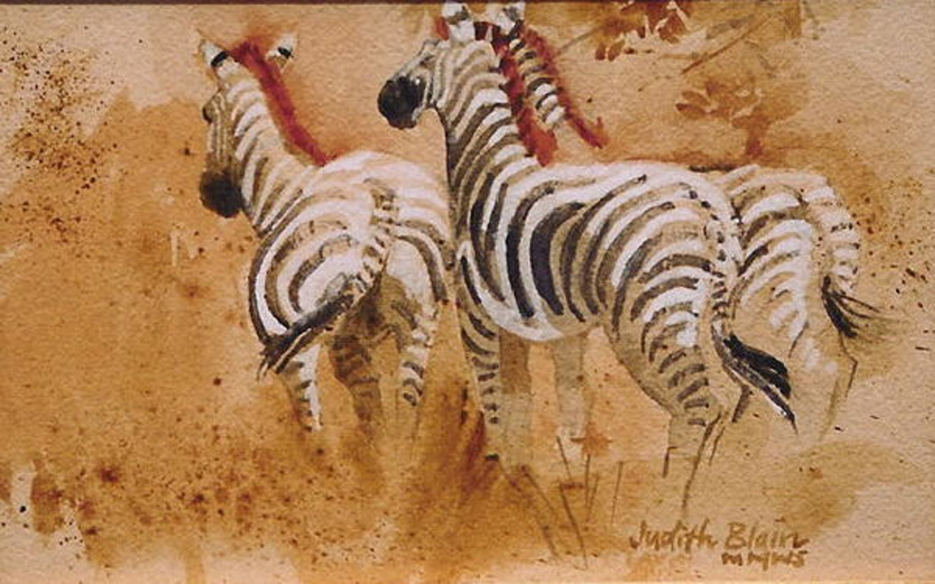 Zebras by Judith Blain