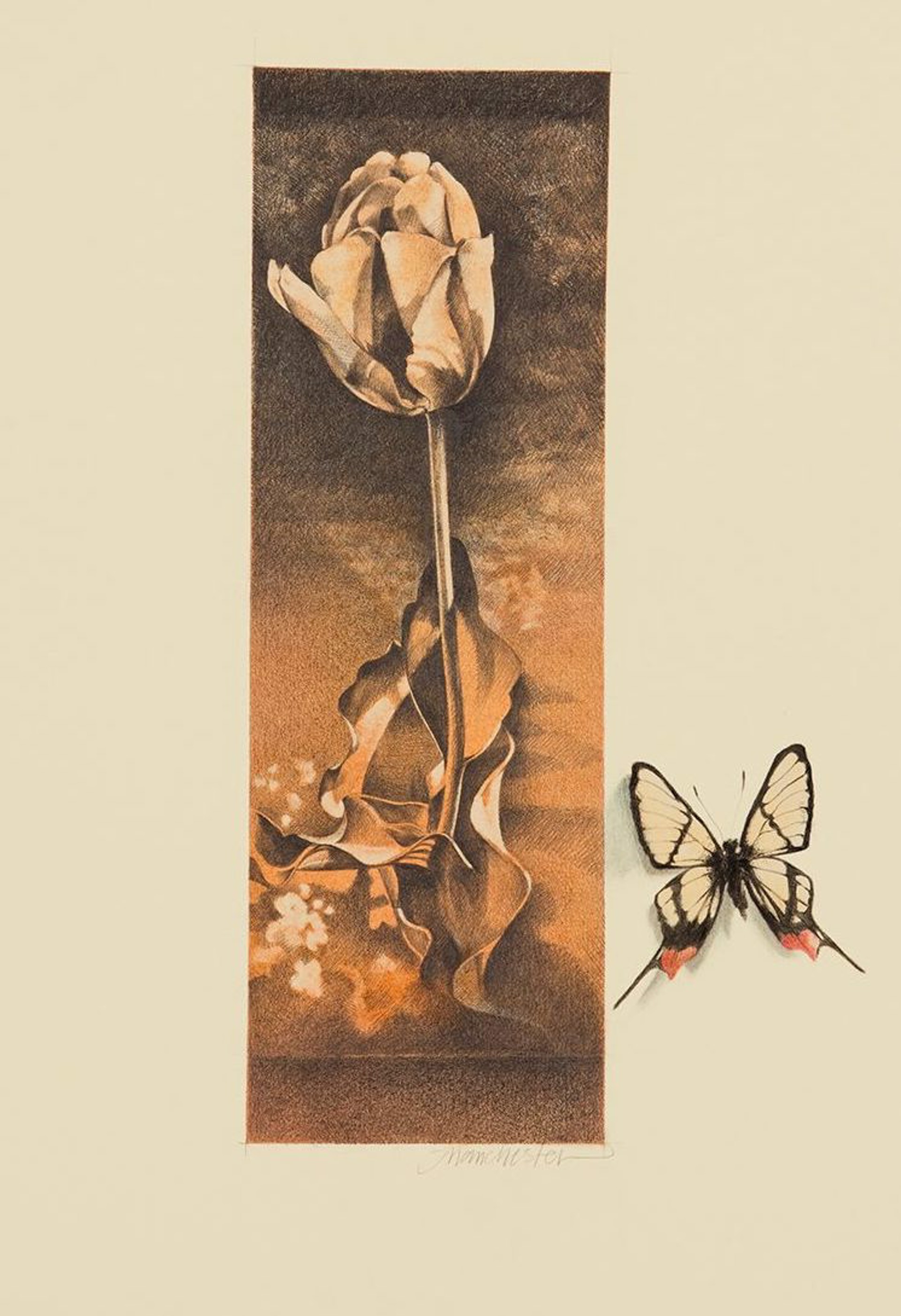 Garden Views #3, Tulip with Butterfly ] by Susan Manchester