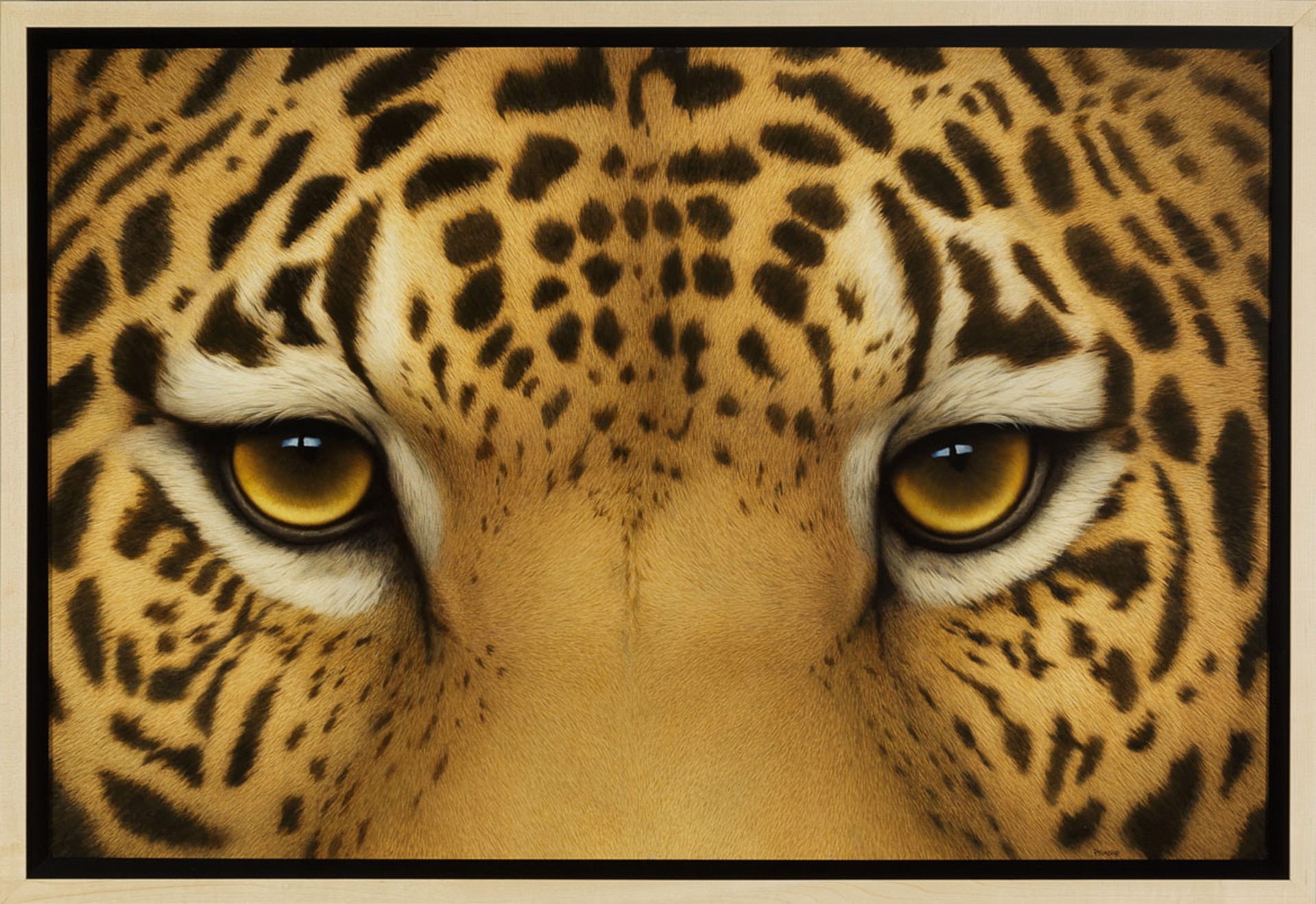 Leopard Eyes by Tom Palmore
