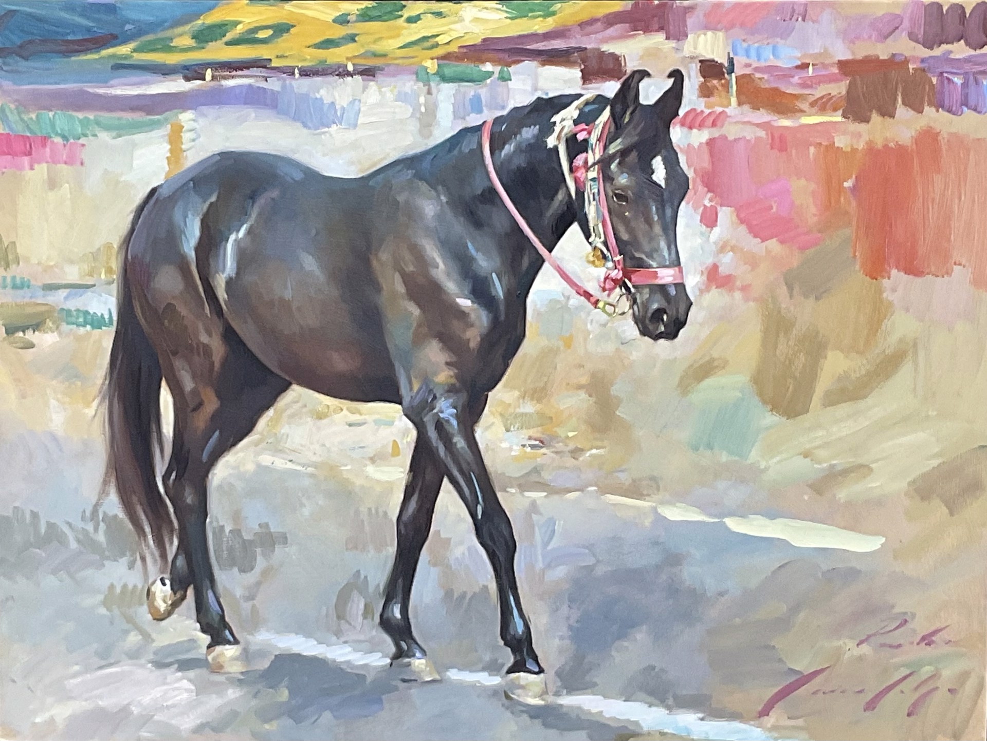 Dark Bay with Pink Halter by Marcus Hodge