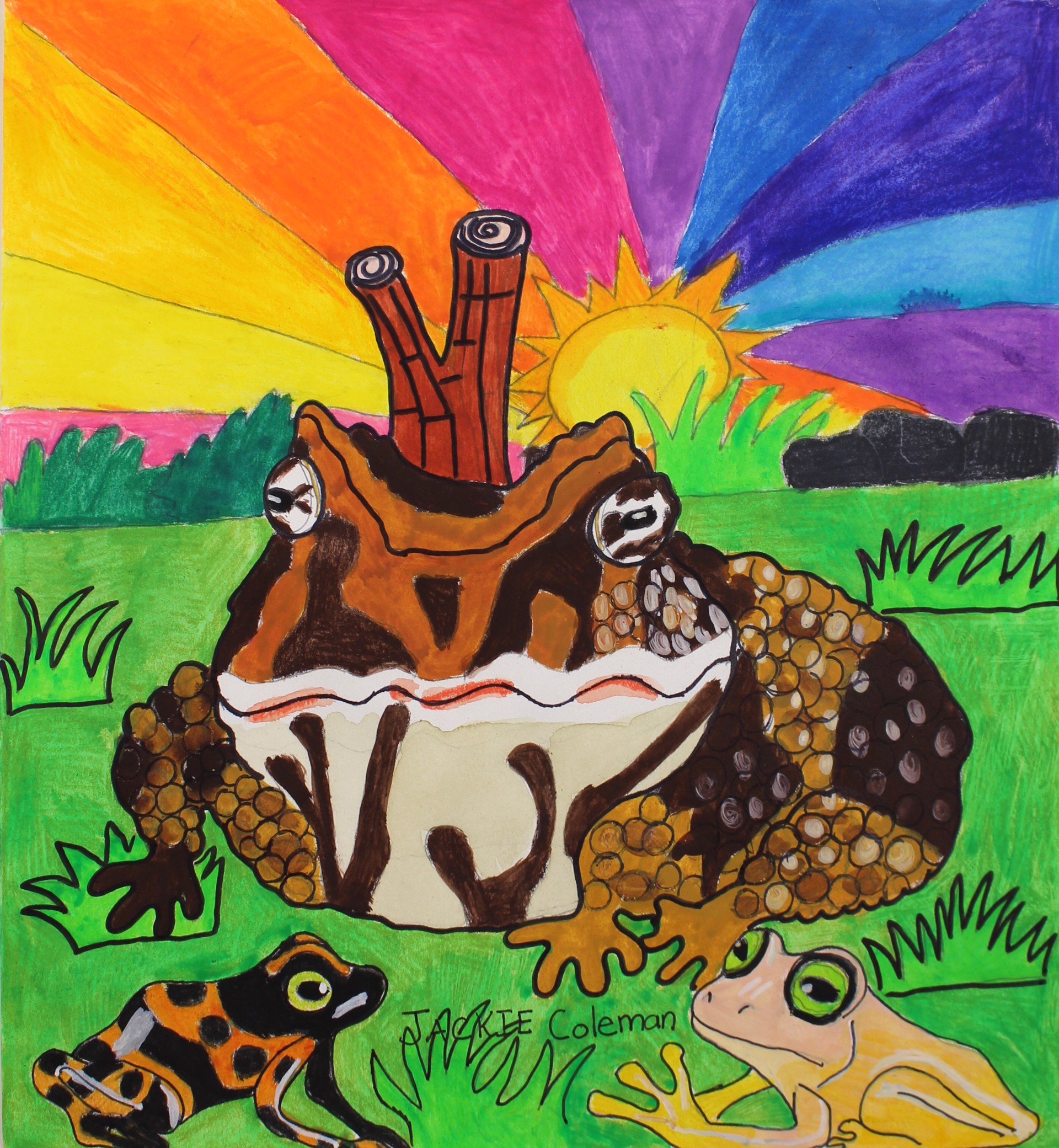 Friendly Frogs Sunset by Jacqueline Coleman