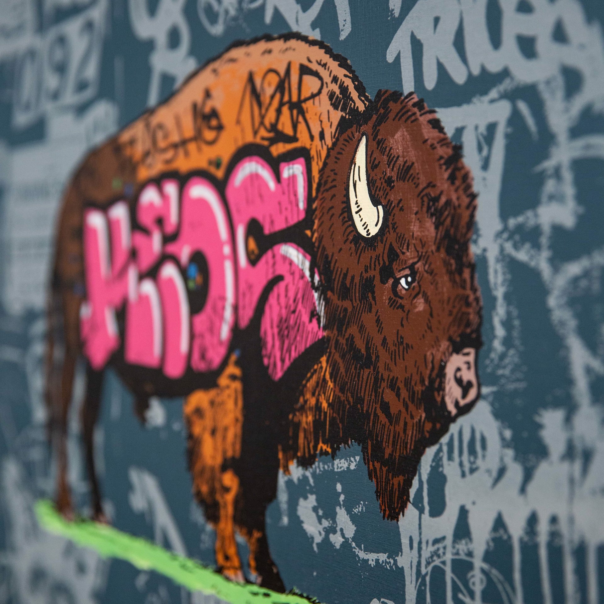 Buffalo Graffiti by Whatisadam