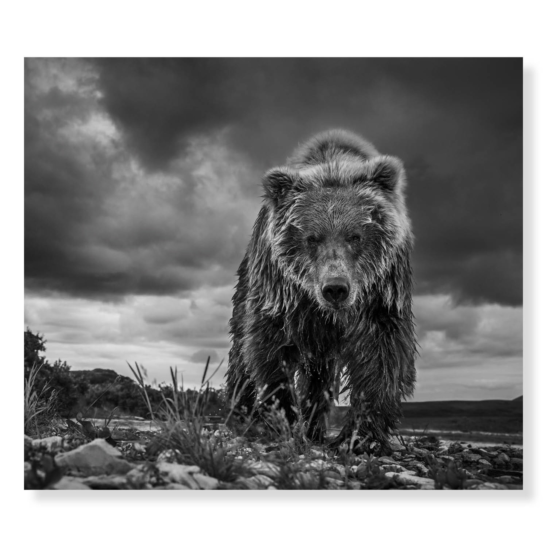Funnel Creek by David Yarrow