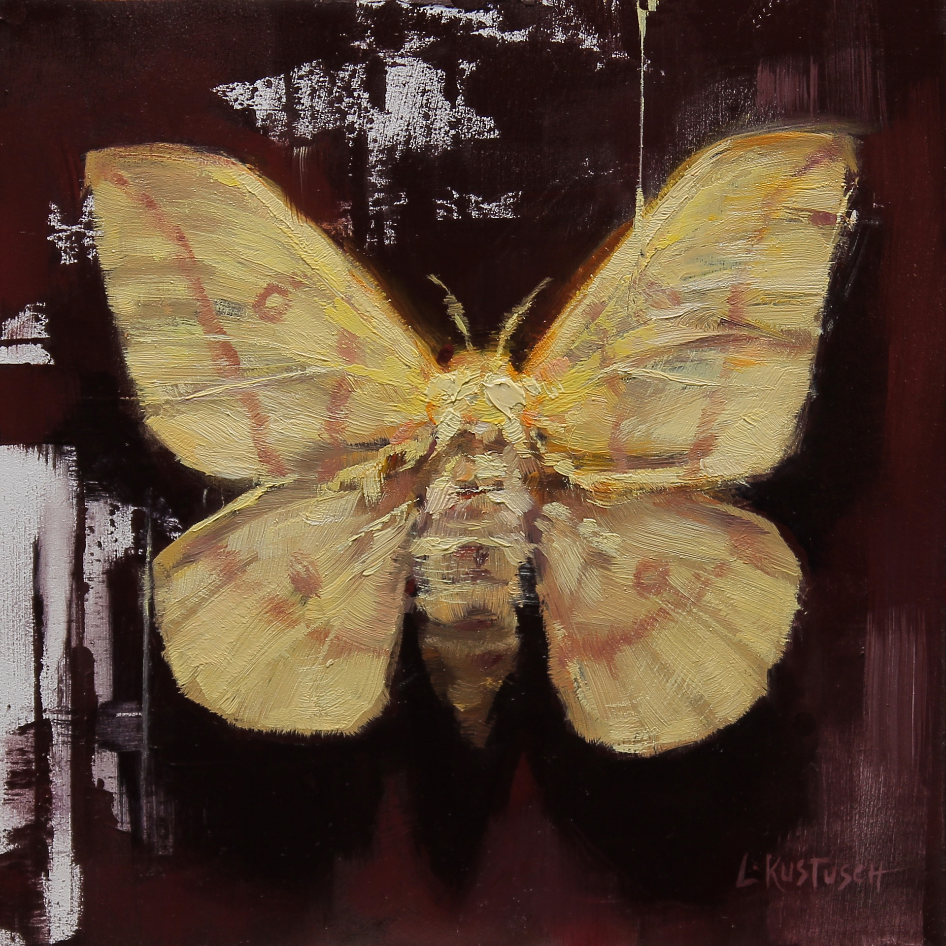 Yellow Imperial Moth by Lindsey Kustusch