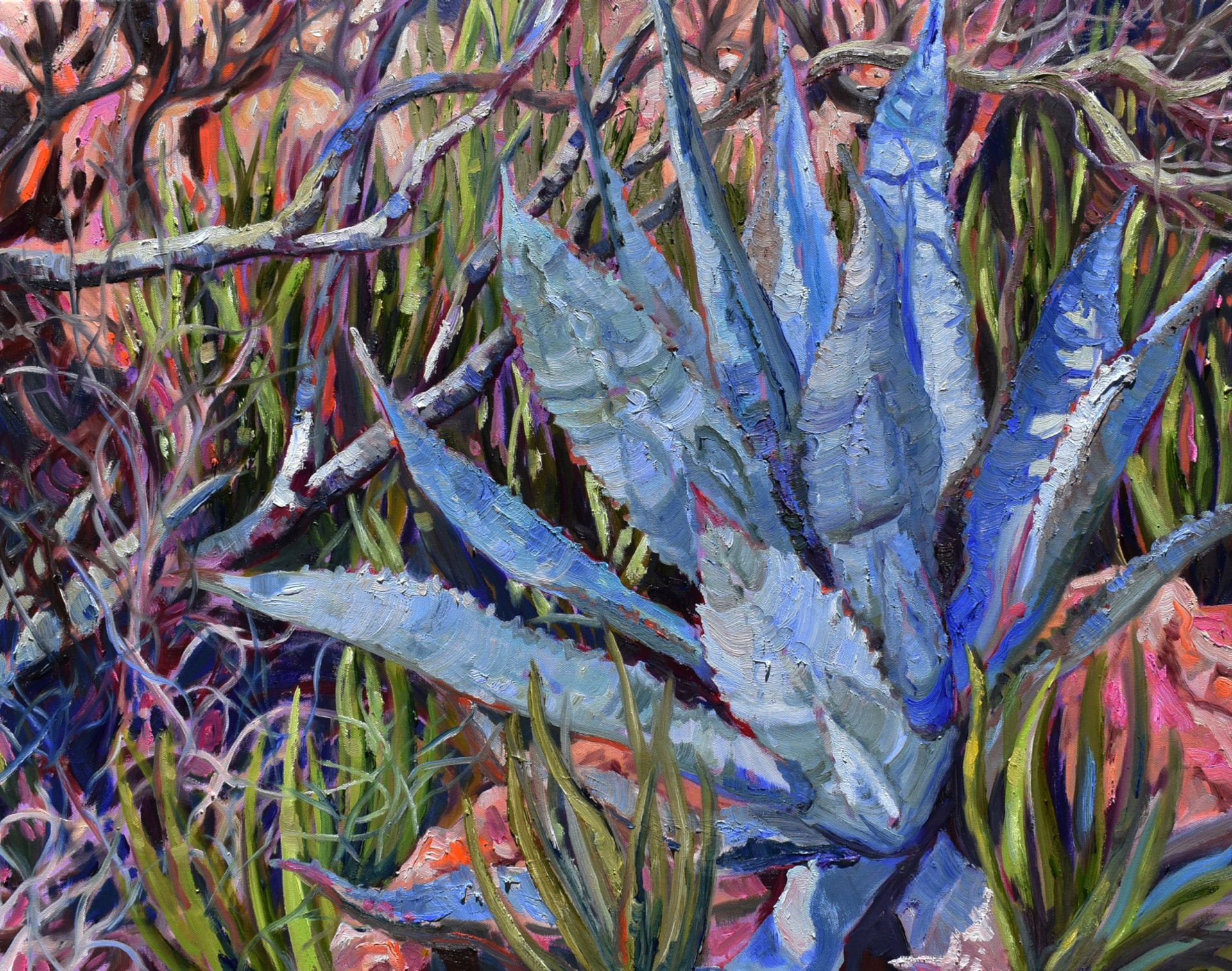 Agave and Aloe by Margaretta Caesar