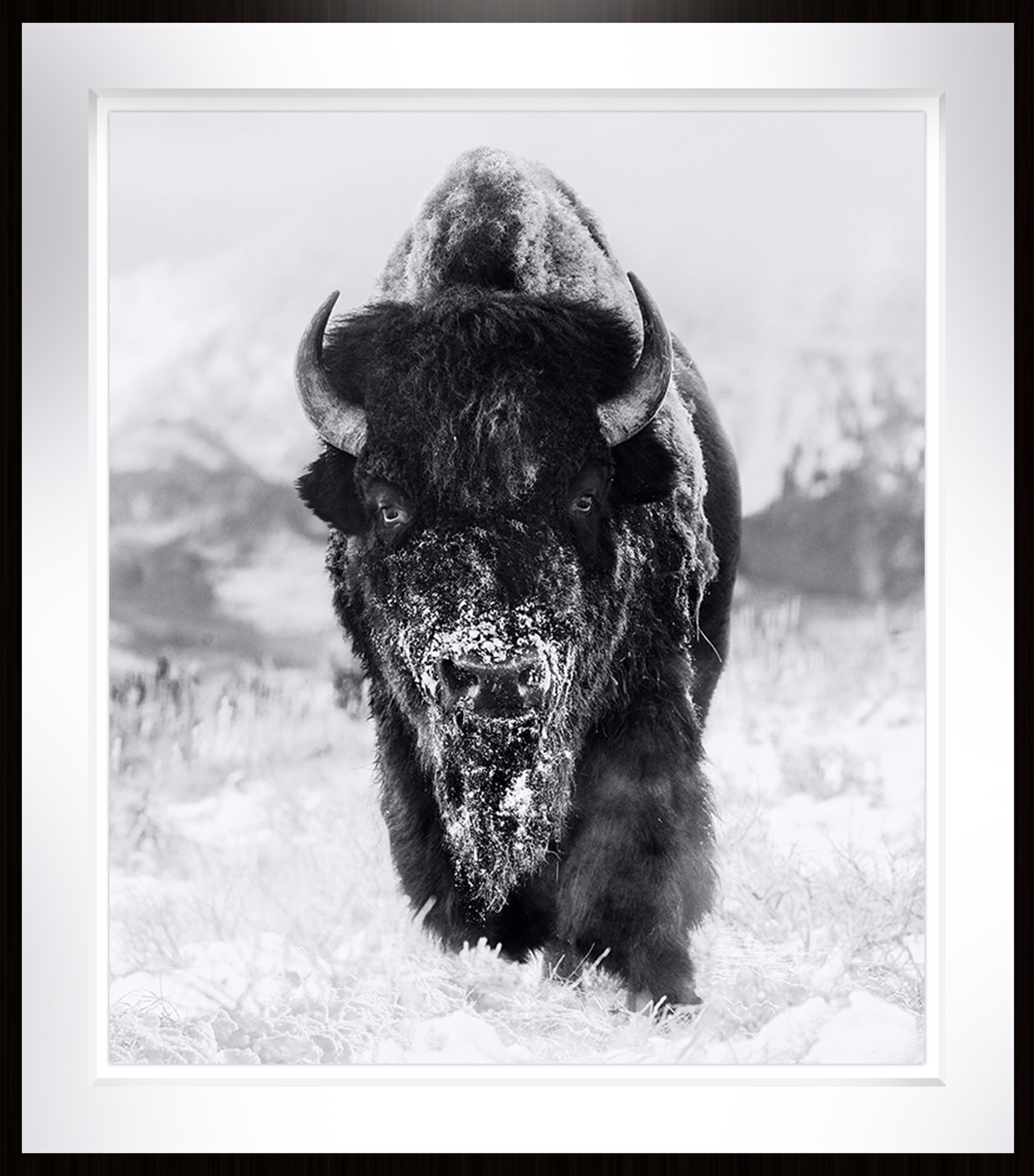 The Snowman by David Yarrow