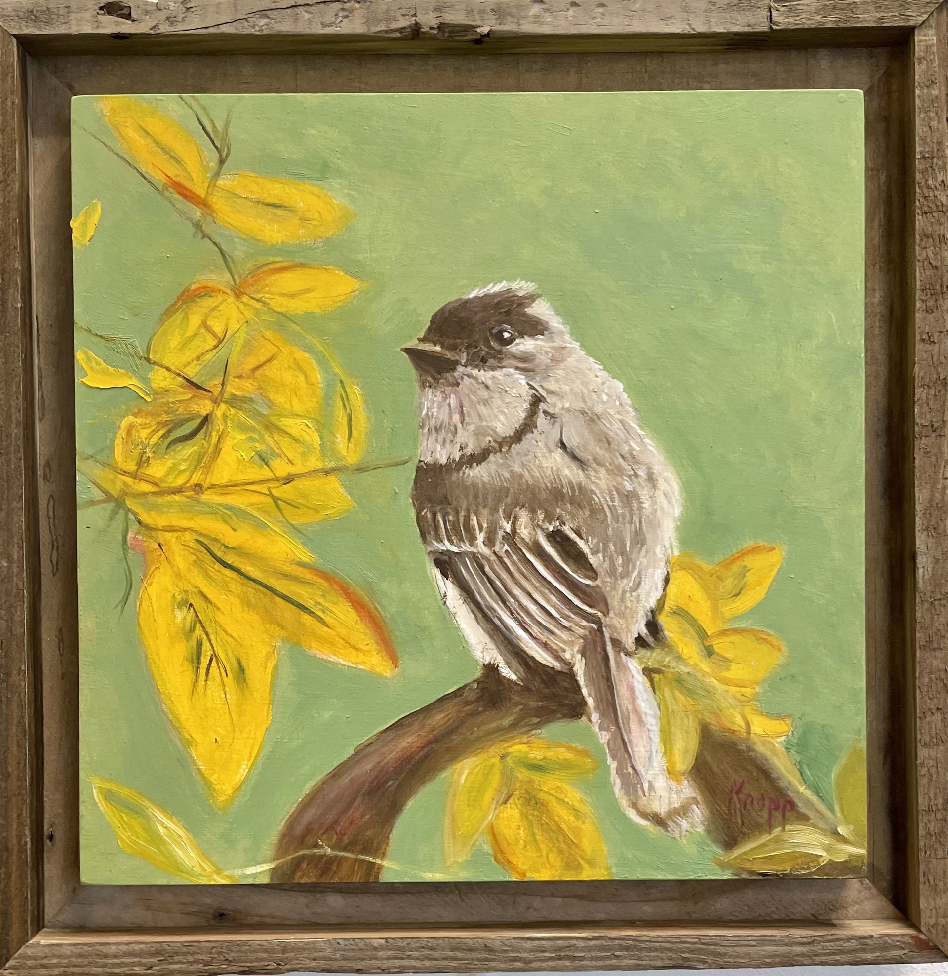 Phoebe bird by Kathy Knopp