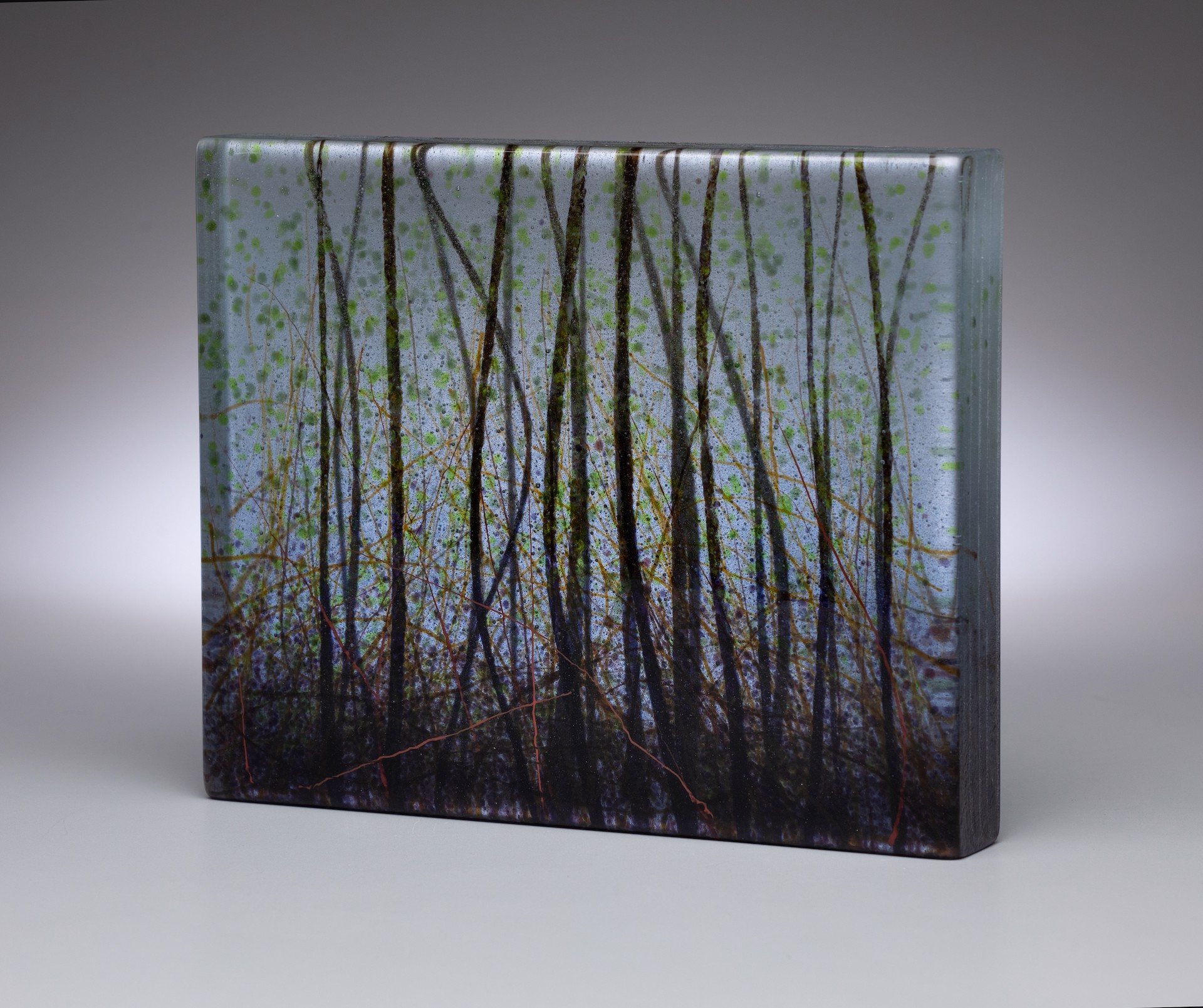Winter Lagoon by Angelita Surmon