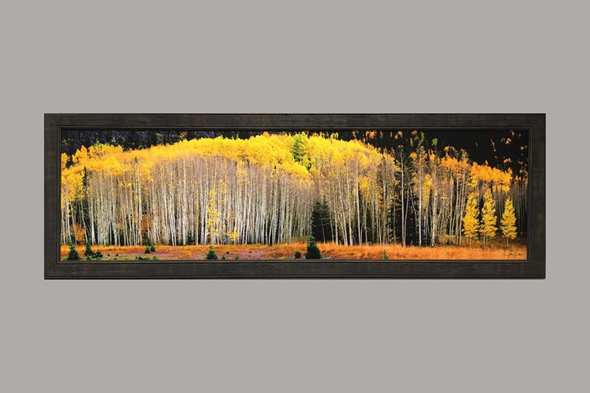 Aspens by Joe Lowe