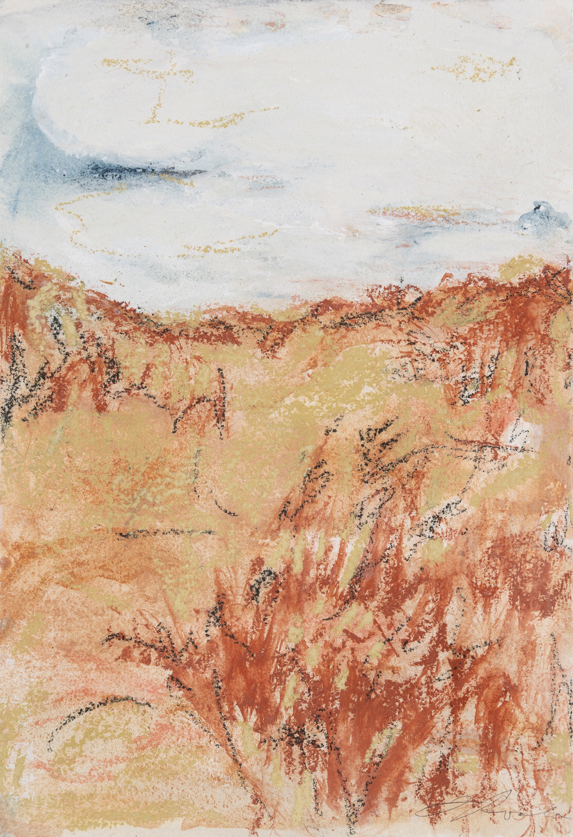 Field of Clouds by Teresa Roche