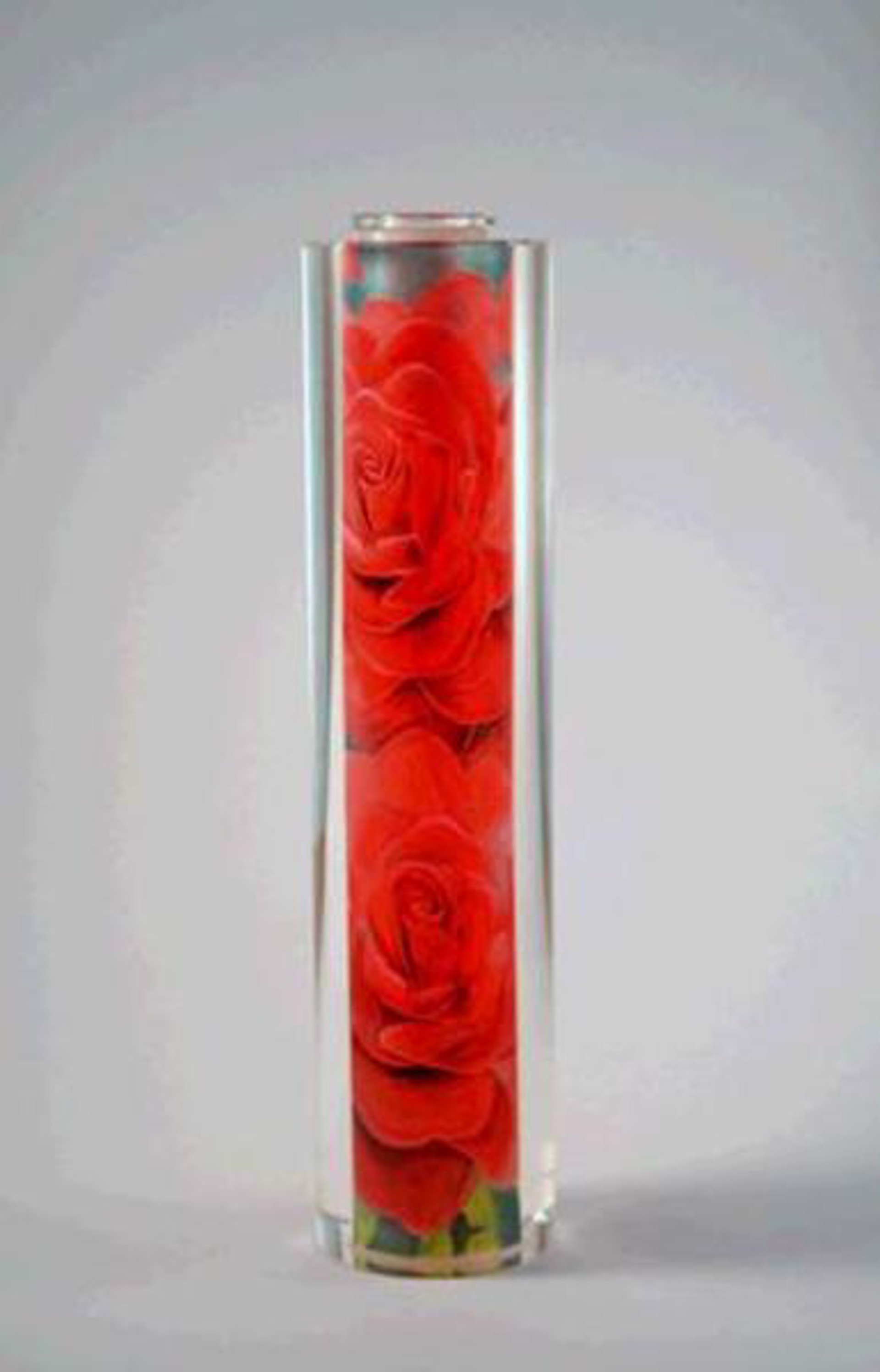 Passion Rouge Roses by Jacarte